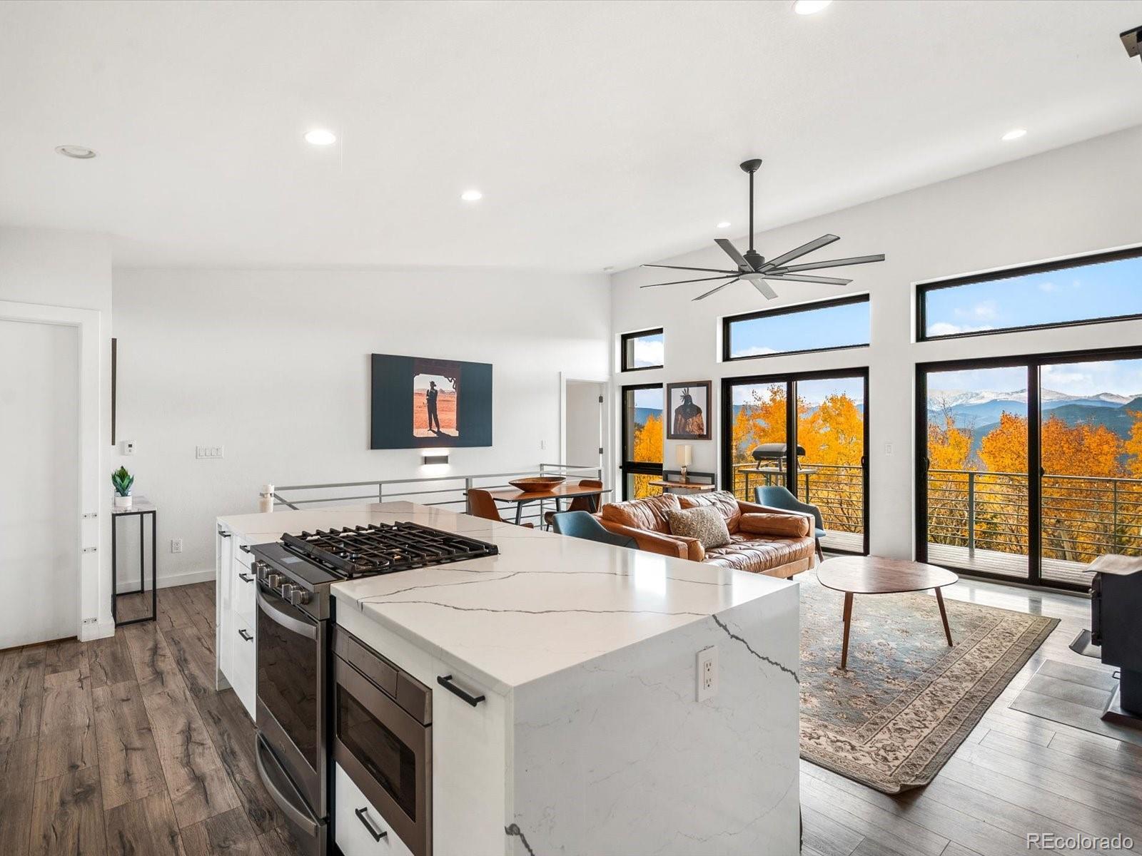 1044 Alps Hill Road Central City, CO 80427 - Photo 9 of 49 a living room with stainless steel appliances granite countertop a sink and a stove