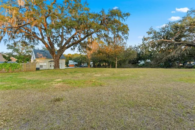 a view of a field with trees in the background