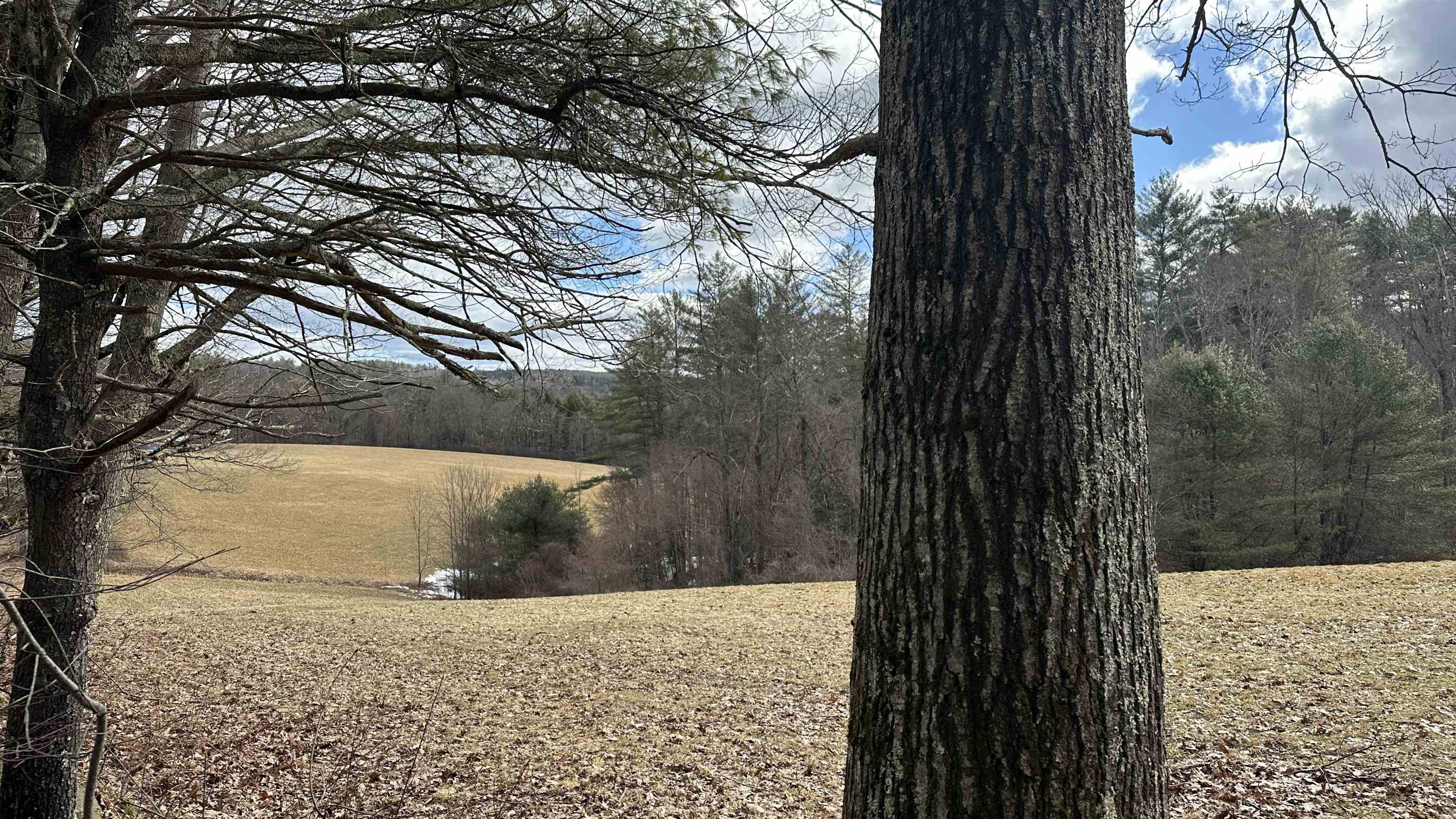 386 Old Chesham Road Marlborough, NH 03455 - Photo 25 of 31