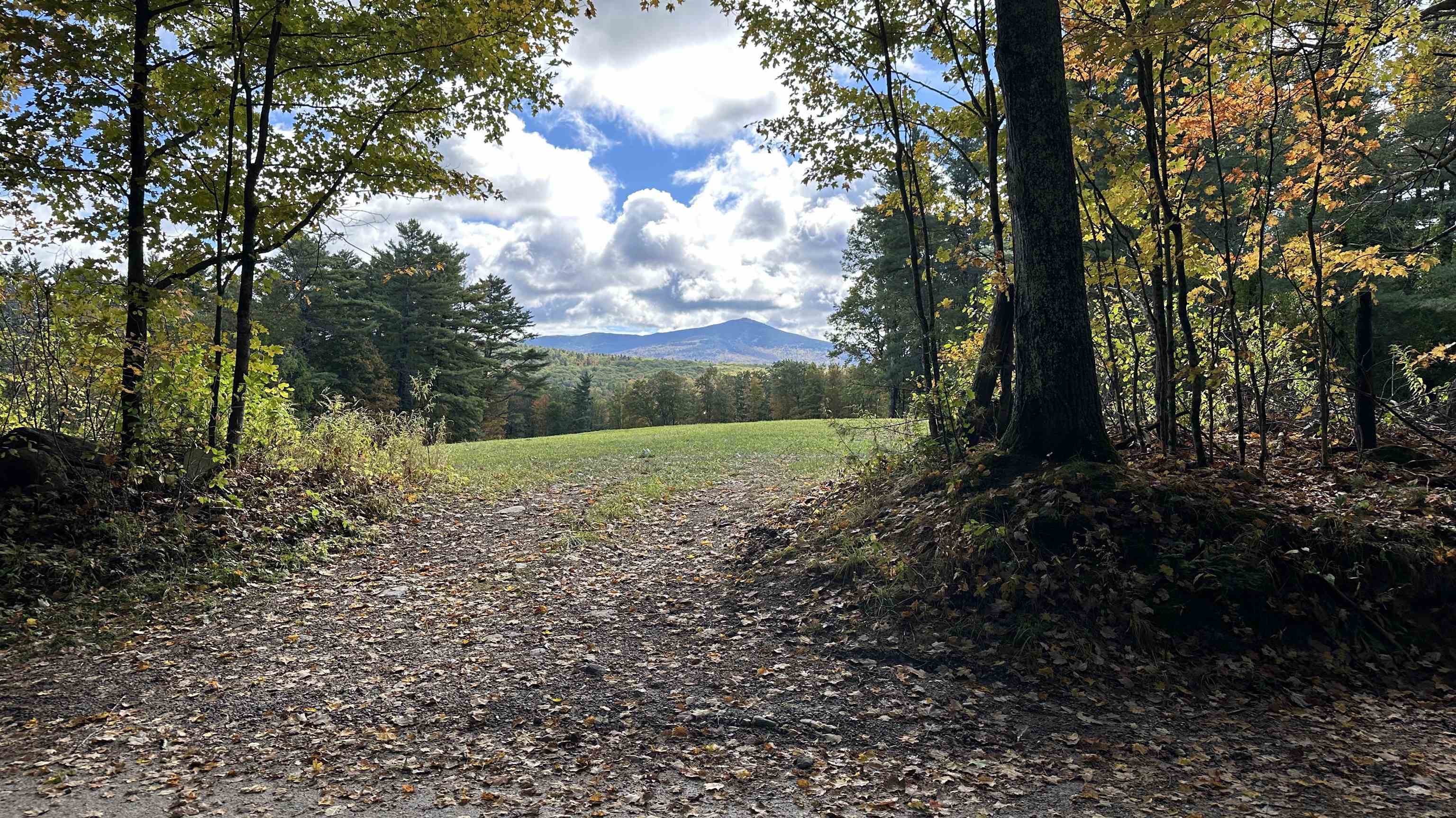 386 Old Chesham Road Marlborough, NH 03455 - Photo 6 of 31