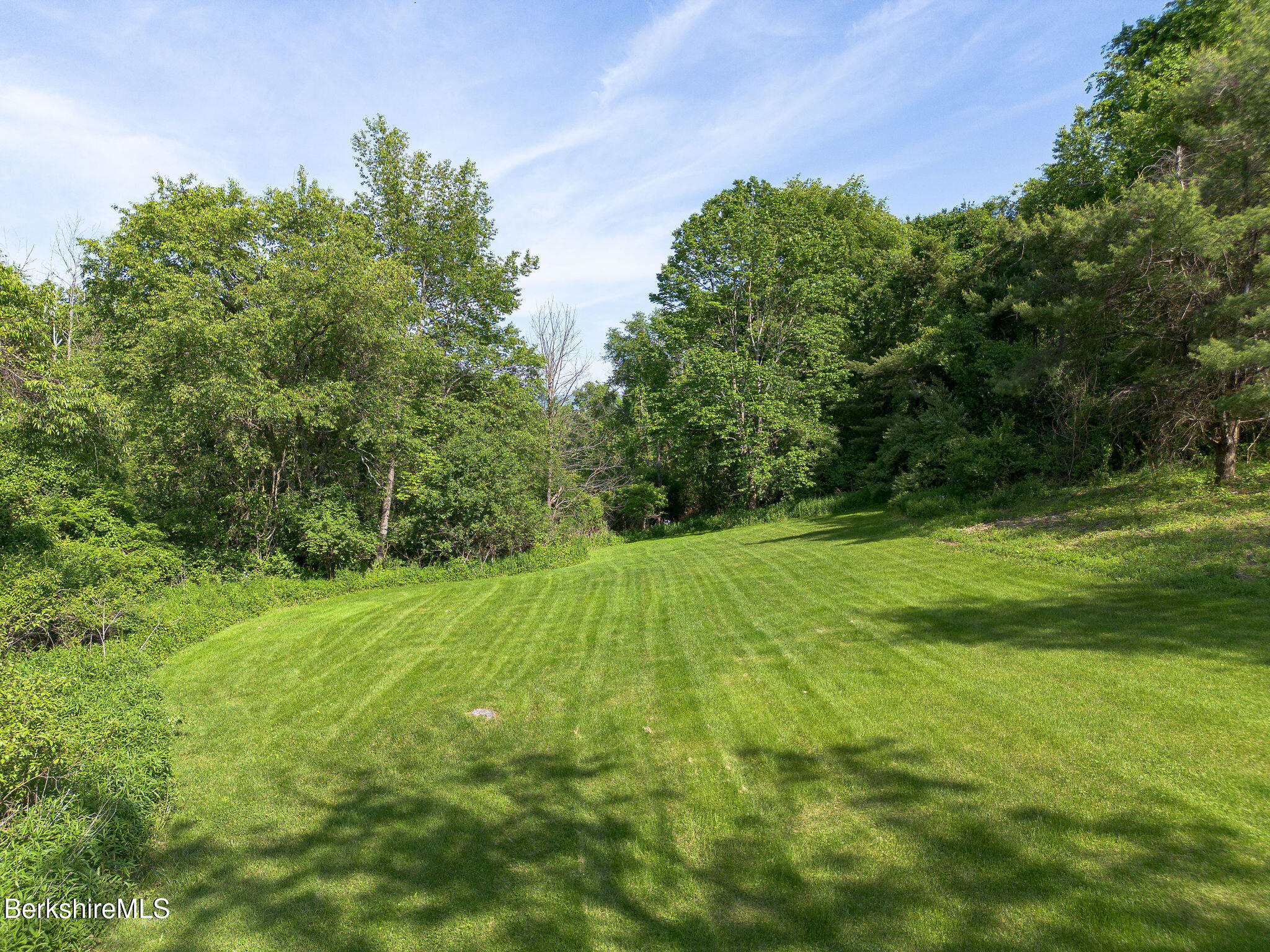 10 Miller View Road Egremont, MA 01230 - Photo 11 of 22 a view of a big yard with large trees
