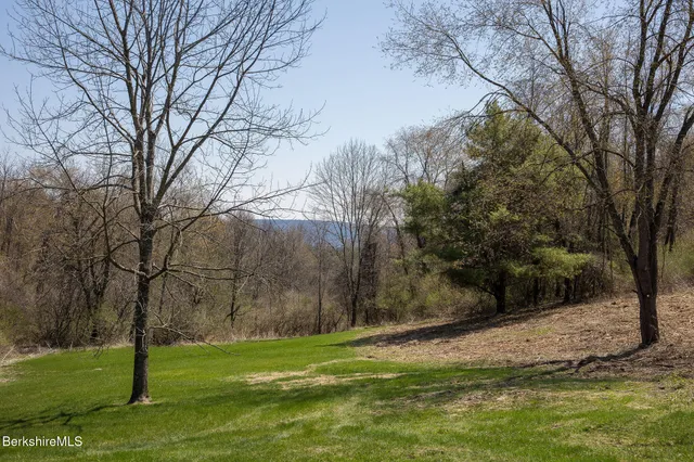 a view of a yard with plants and trees