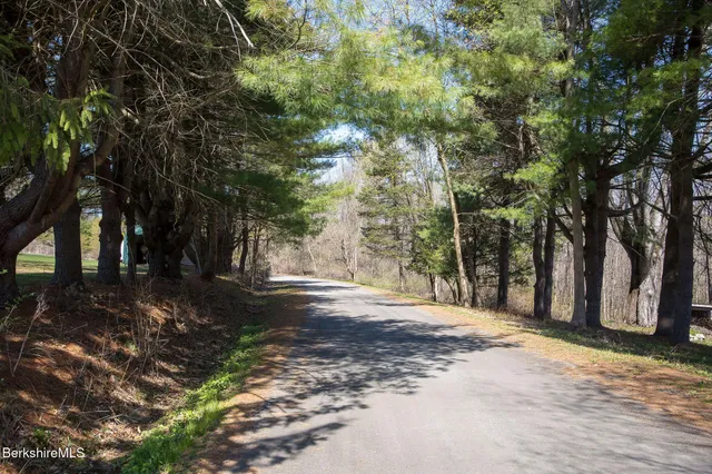a view of a forest with a sink