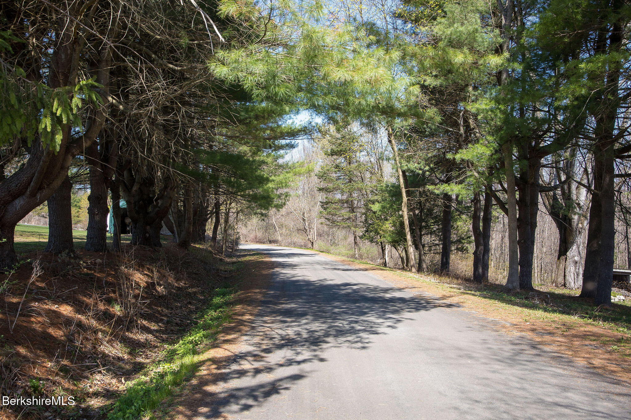 10 Miller View Road Egremont, MA 01230 - Photo 15 of 22 a view of a yard with plants and trees