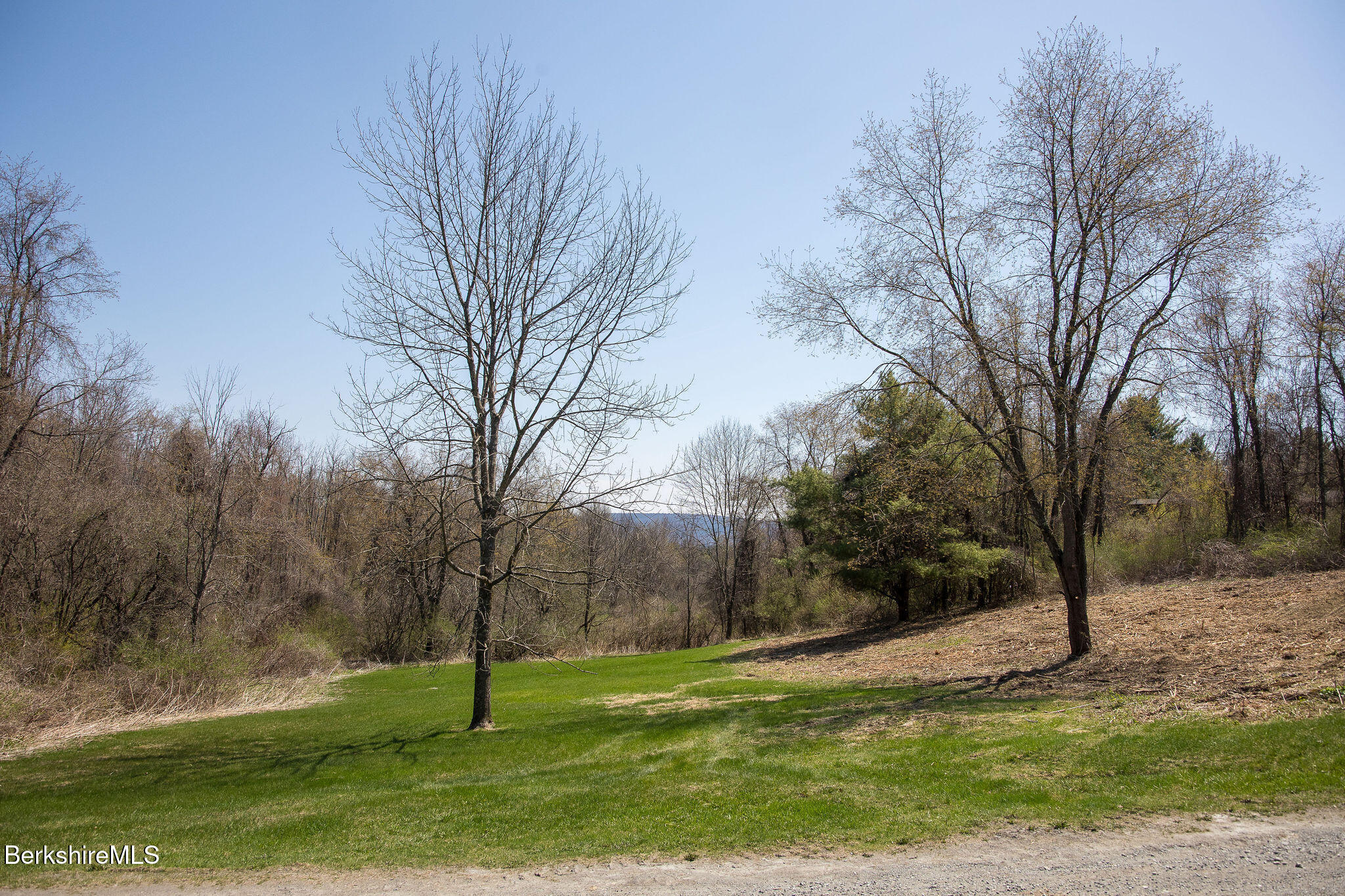 10 Miller View Road Egremont, MA 01230 - Photo 19 of 22 a view of a park