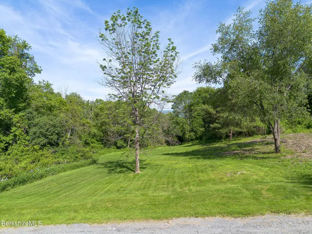 a view of a green yard with large trees