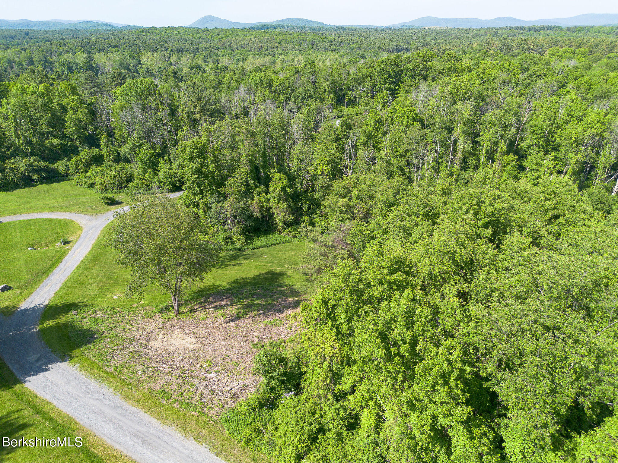 10 Miller View Road Egremont, MA 01230 - Photo 6 of 22 a view of a green yard with large trees