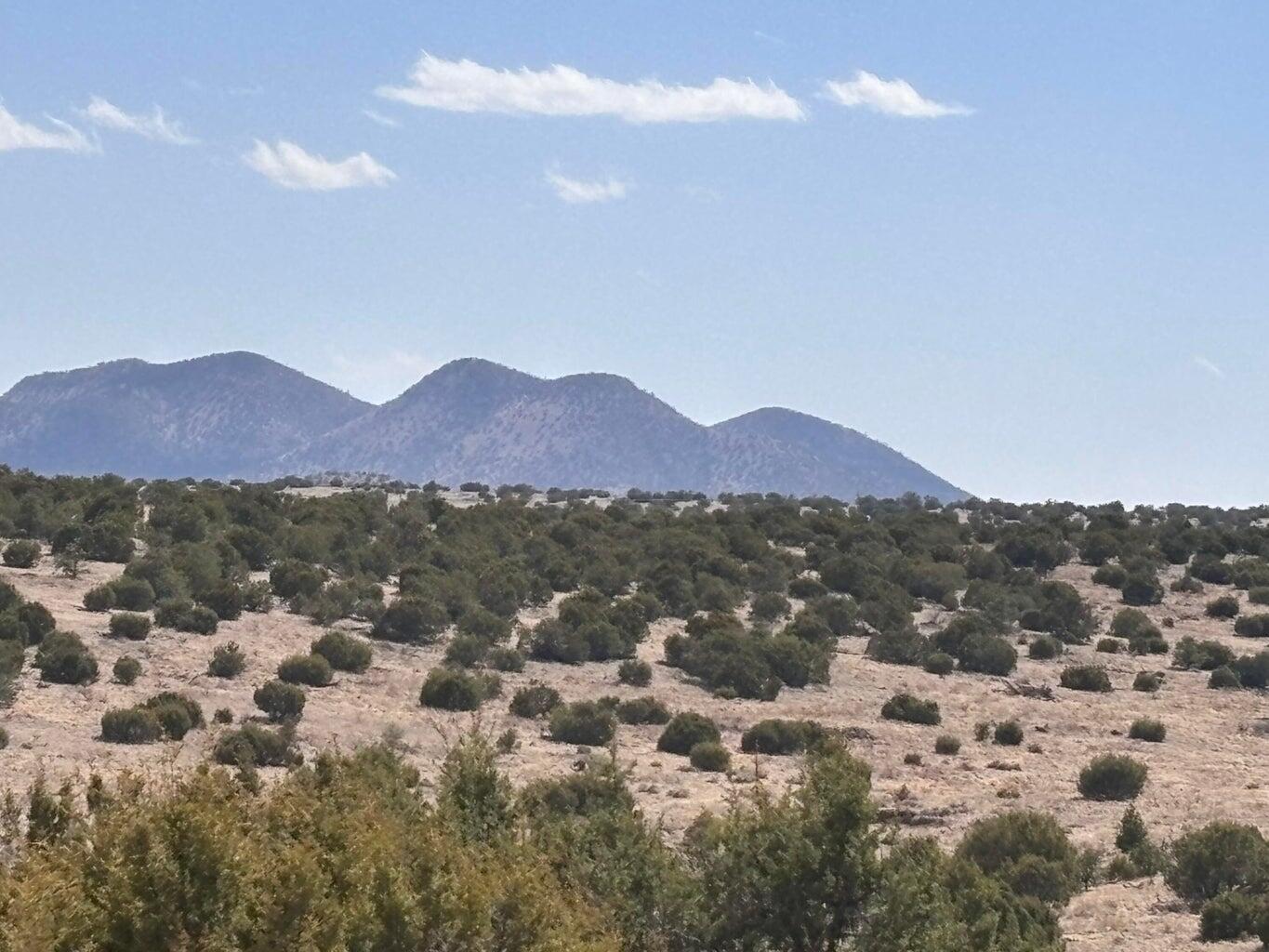 173 Campfire Rd Road Magdalena, NM 87825 - Photo 5 of 7 Gallery Image 5