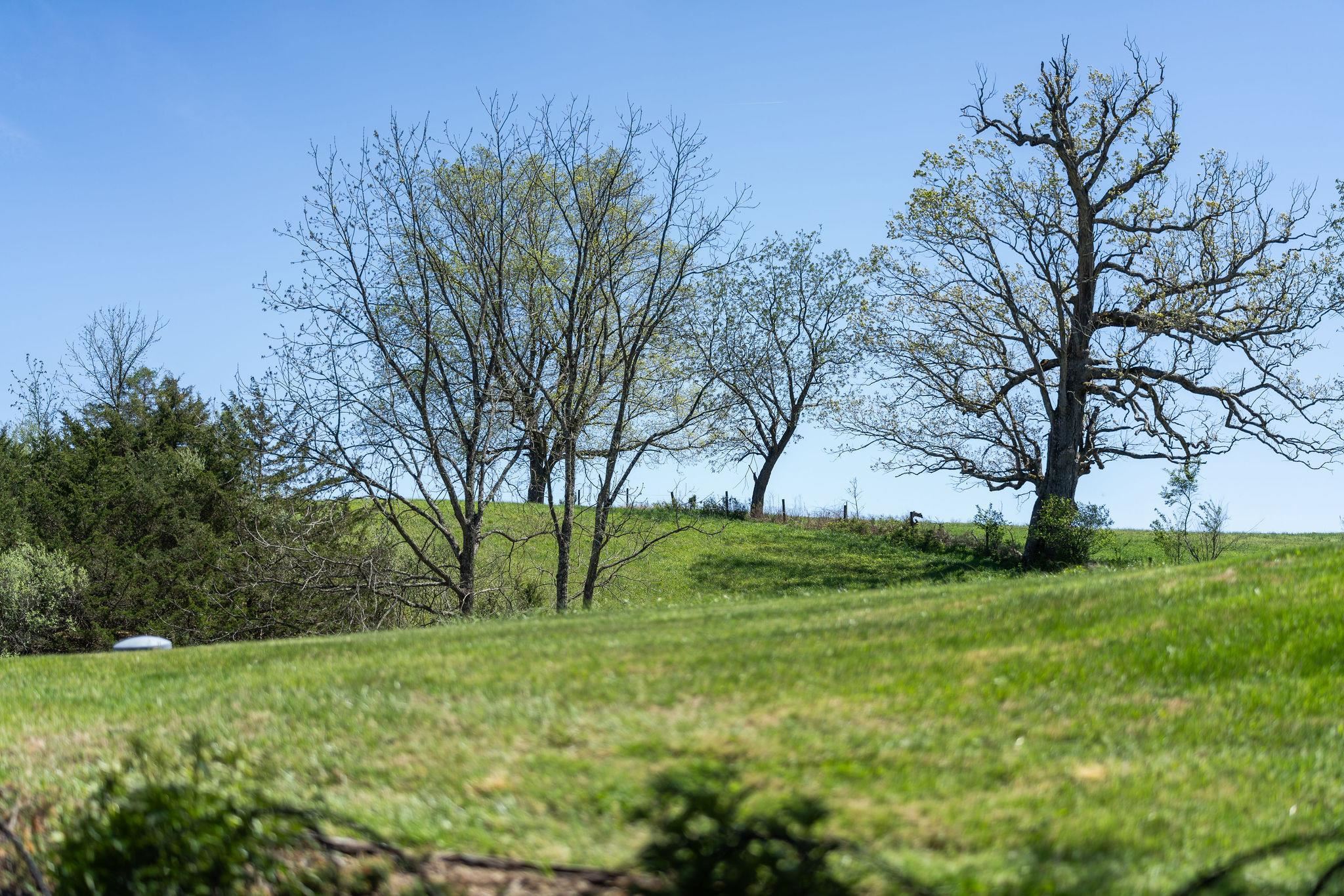1772 Newport Road Raphine, VA 24472 - Photo 51 of 52