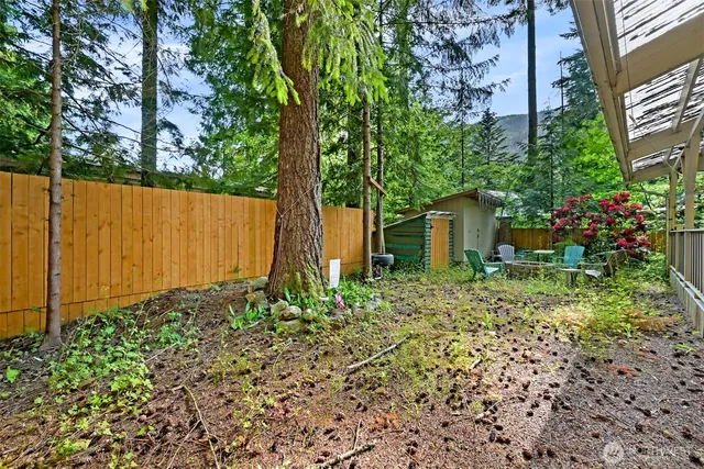 a view of a backyard with plants and large trees