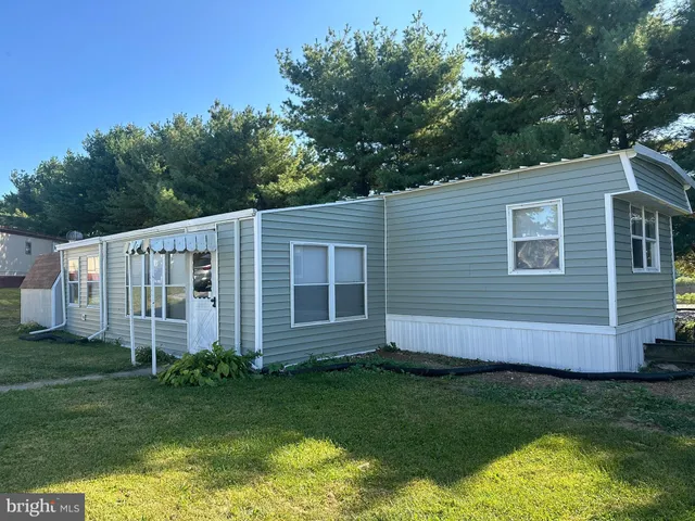 a view of backyard with potted plants and large tree