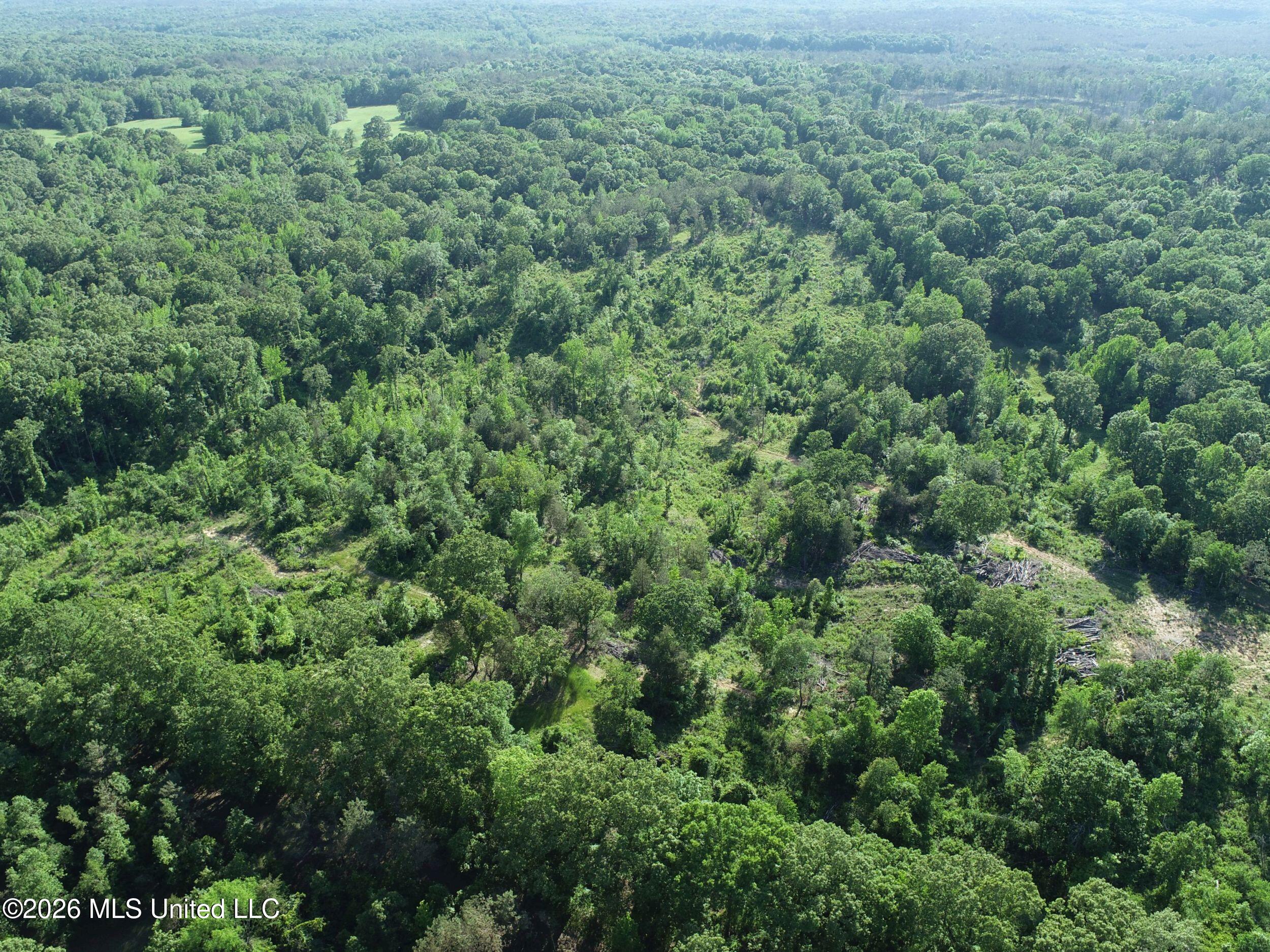 Wayne Massie Road Como, MS 38619 - Photo 56 of 184 3ctwmrd38