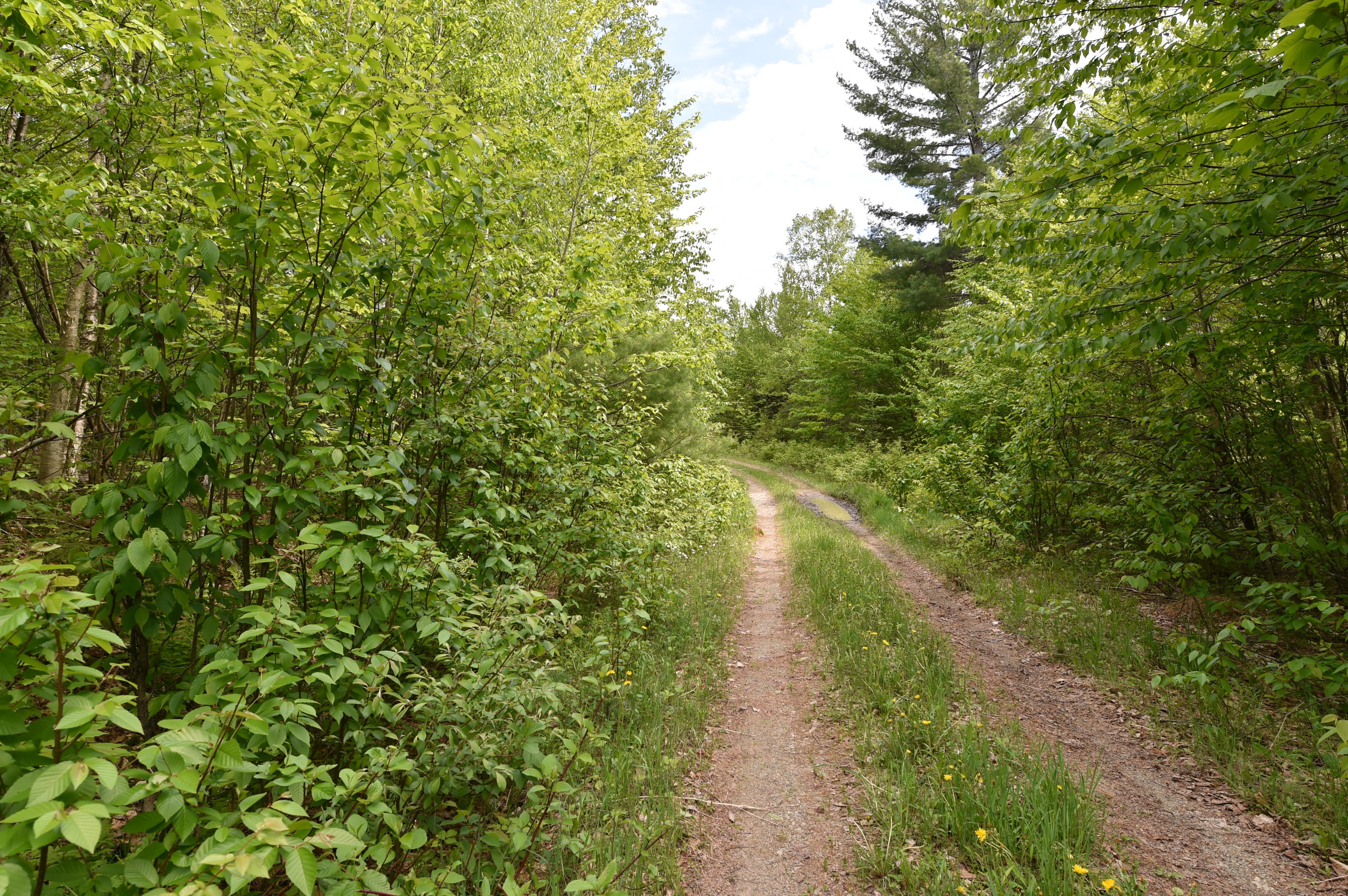 M20-l3-2 Fire Road Linneus, ME 04730 - Photo 4 of 5 DSC_6774