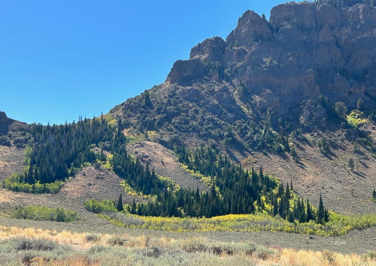 Wild Cat Road Road Jarbidge, NV 89826 - Photo 6 of 10