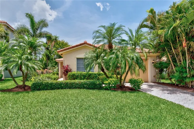 a view of a backyard with palm trees