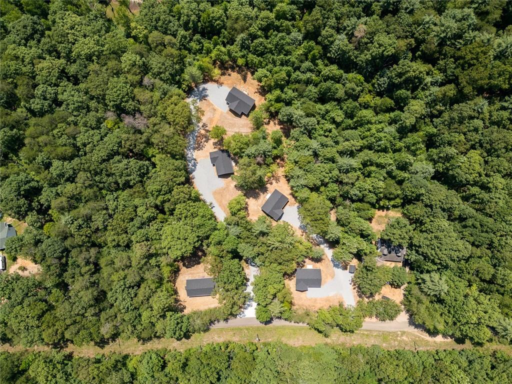 205 Perkins Road Dahlonega, GA 30533 - Photo 42 of 51