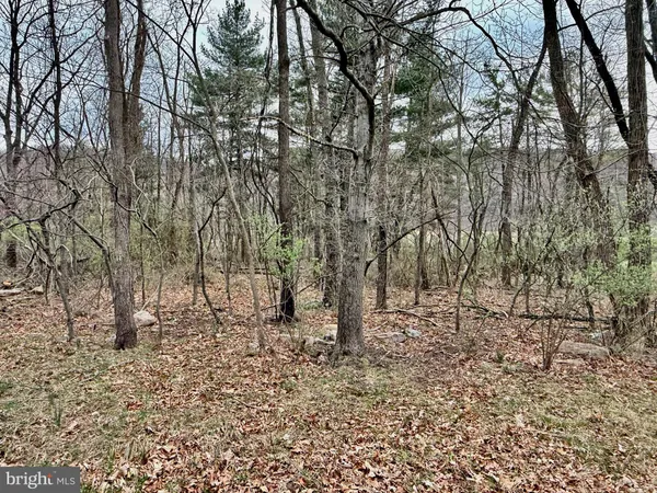 $69,900 | Timberlake Estates, New Creek, WV 26743