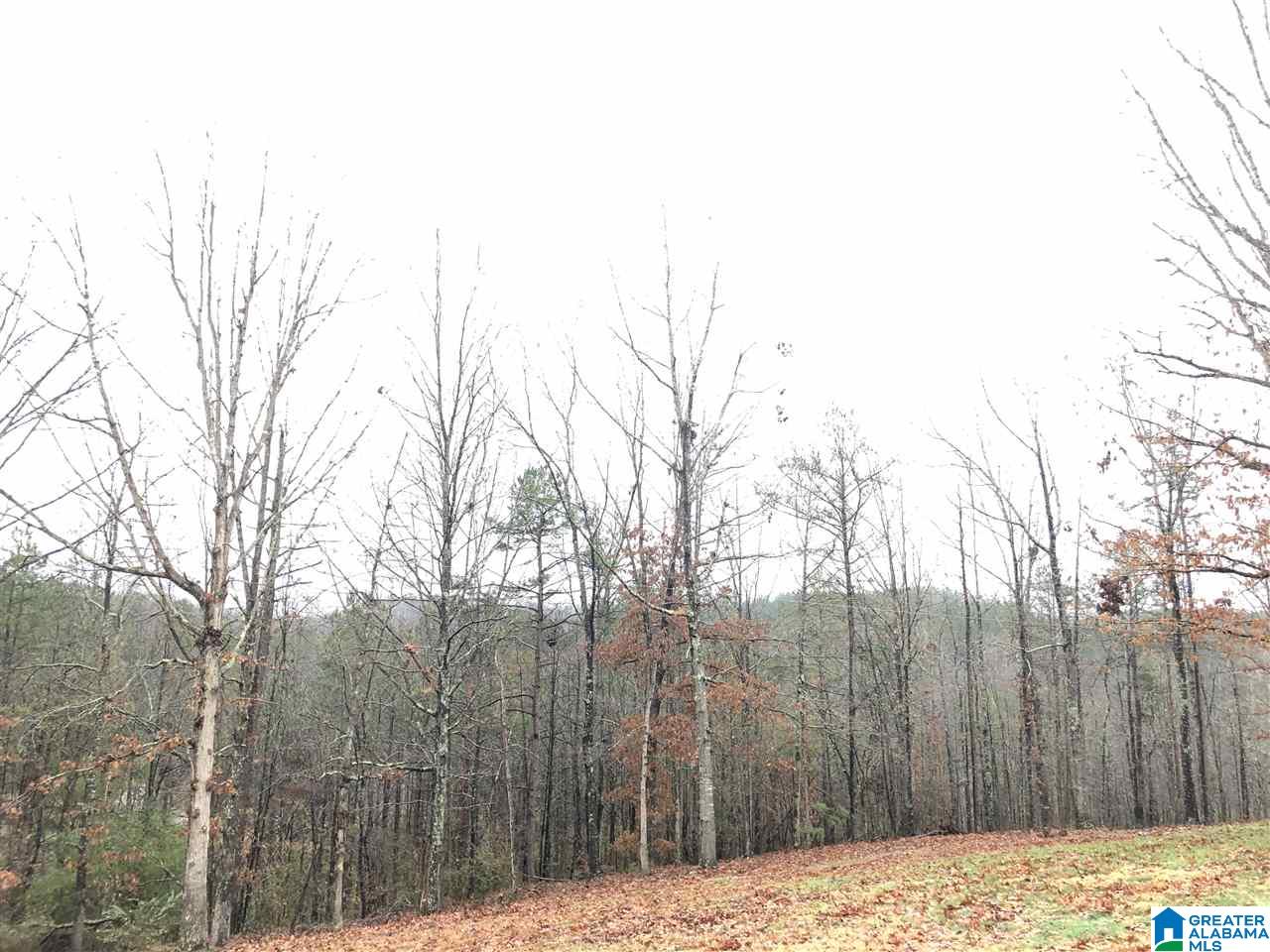 30899 Highway 431 Heflin, AL 36264 - Photo 34 of 42