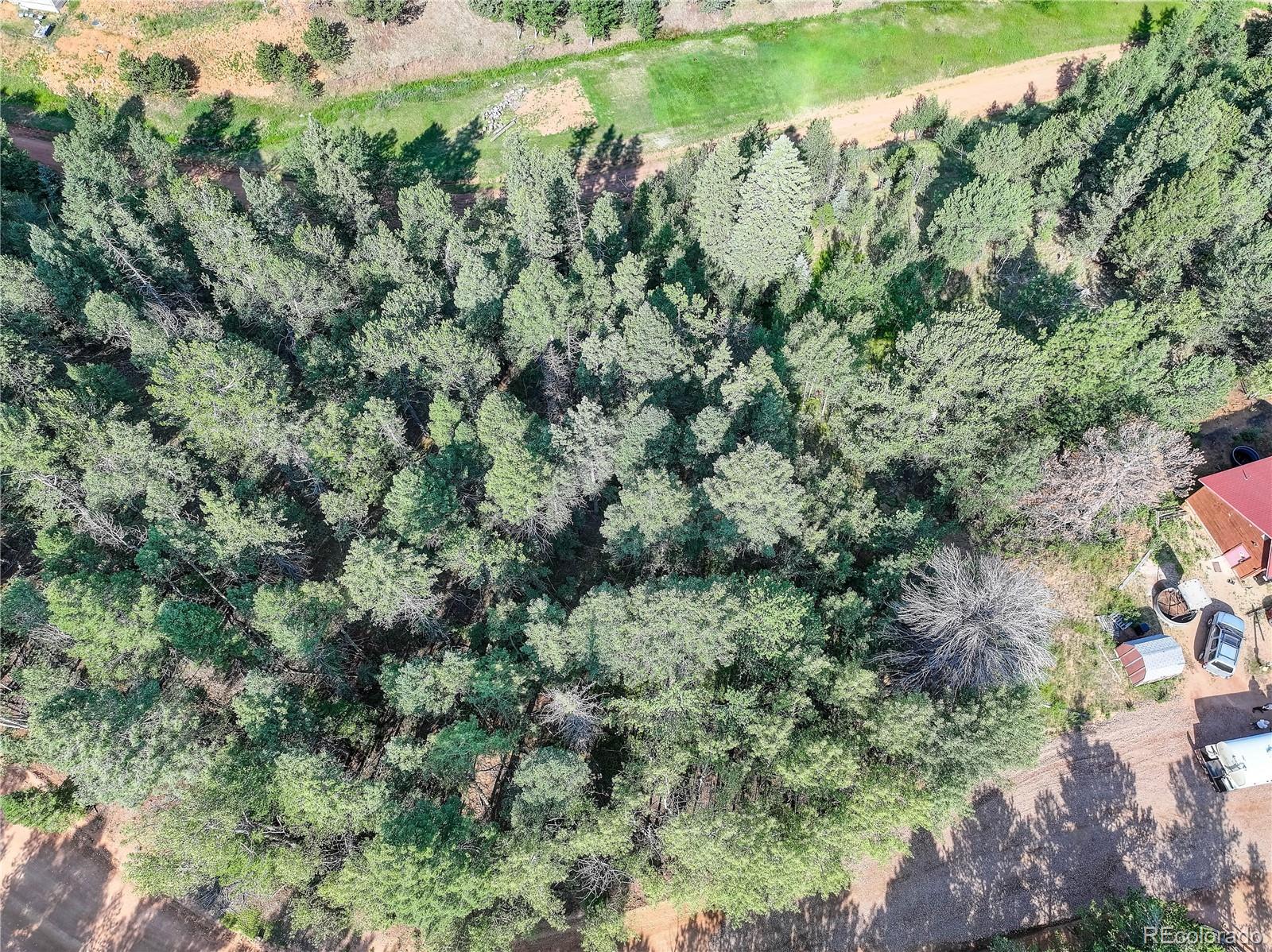 490 Willow Road Divide, CO 80814 - Photo 2 of 2 an aerial view of a house with a yard