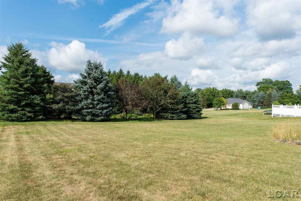 1258 Scott Ridge Drive Adrian, MI 49221 - Photo 7 of 51 31390152-6.JPG