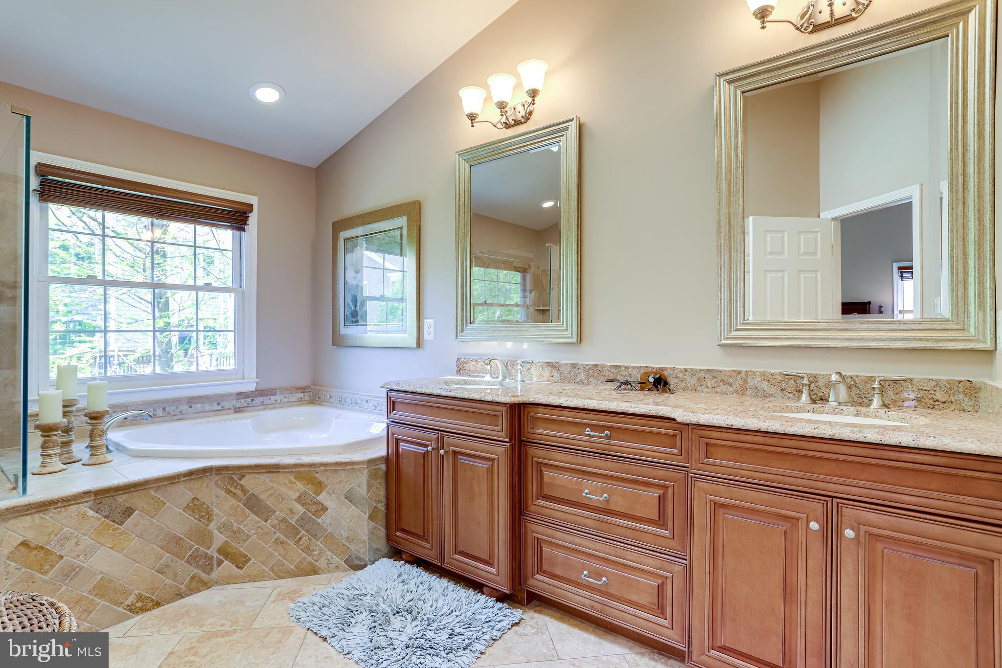 1206 Woodbrook Court Reston, VA 20194 - Photo 50 of 110 Upgraded primary bathroom with granite