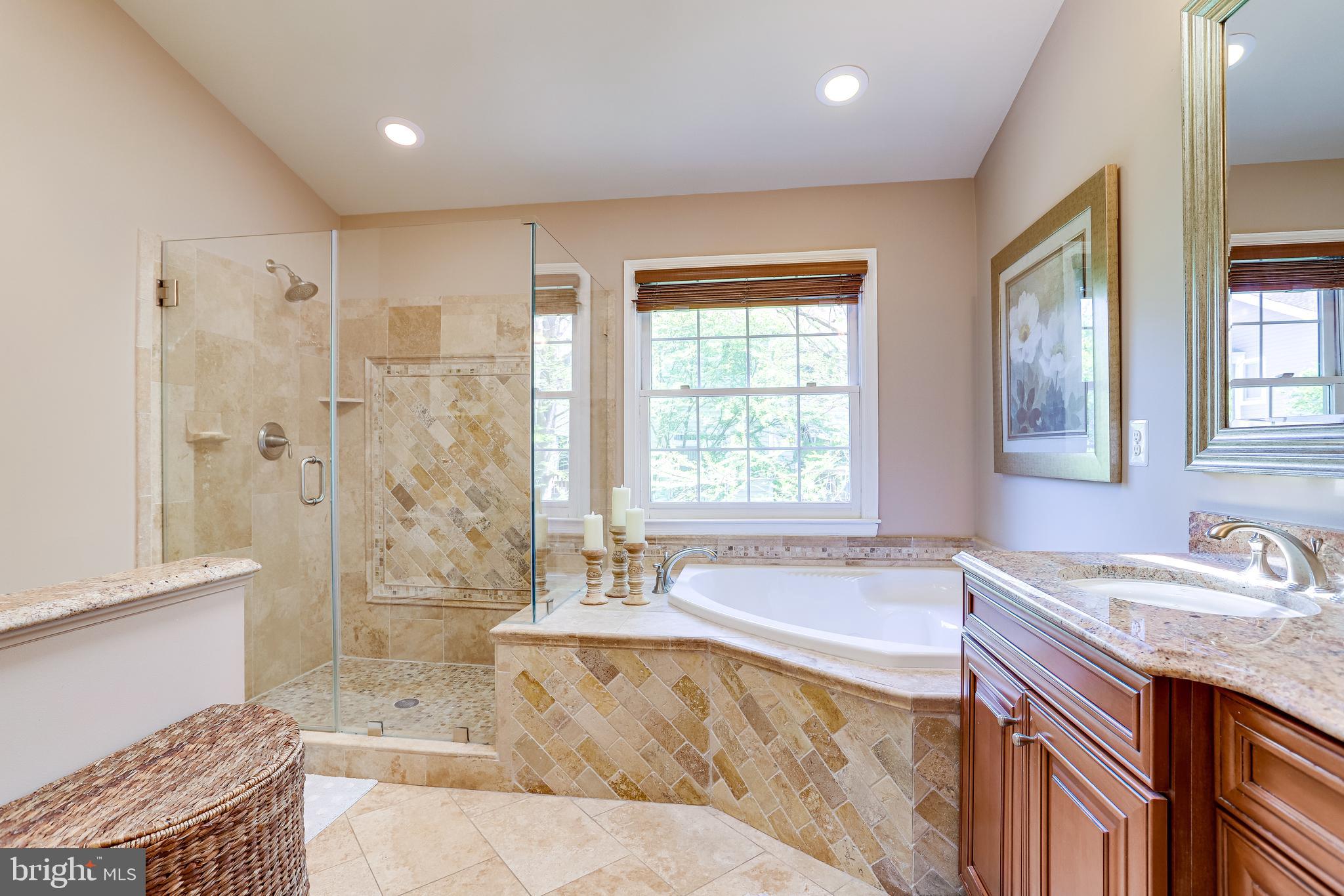 1206 Woodbrook Court Reston, VA 20194 - Photo 52 of 110 Frameless shower door