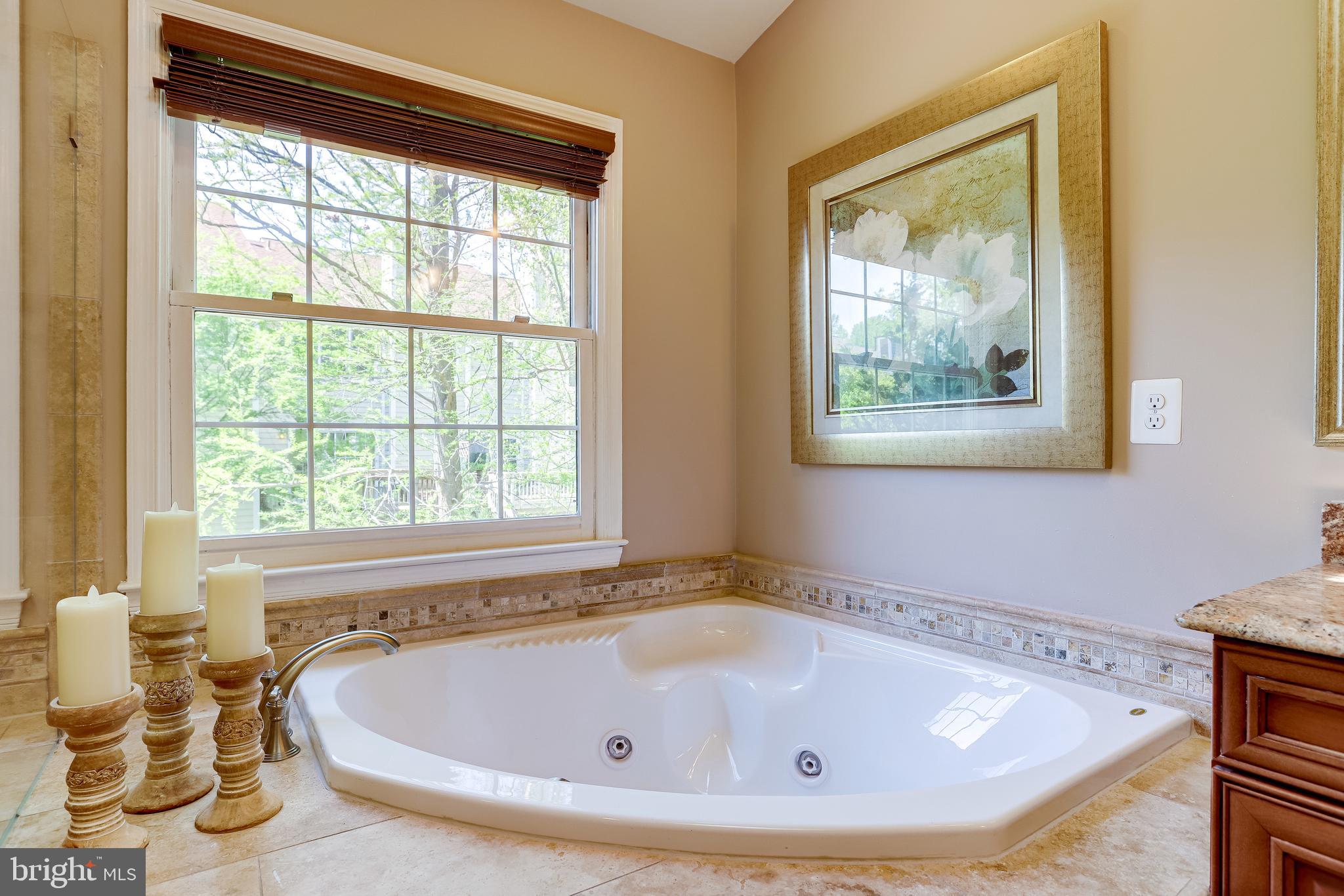 1206 Woodbrook Court Reston, VA 20194 - Photo 53 of 110 Oversized soaking tub.