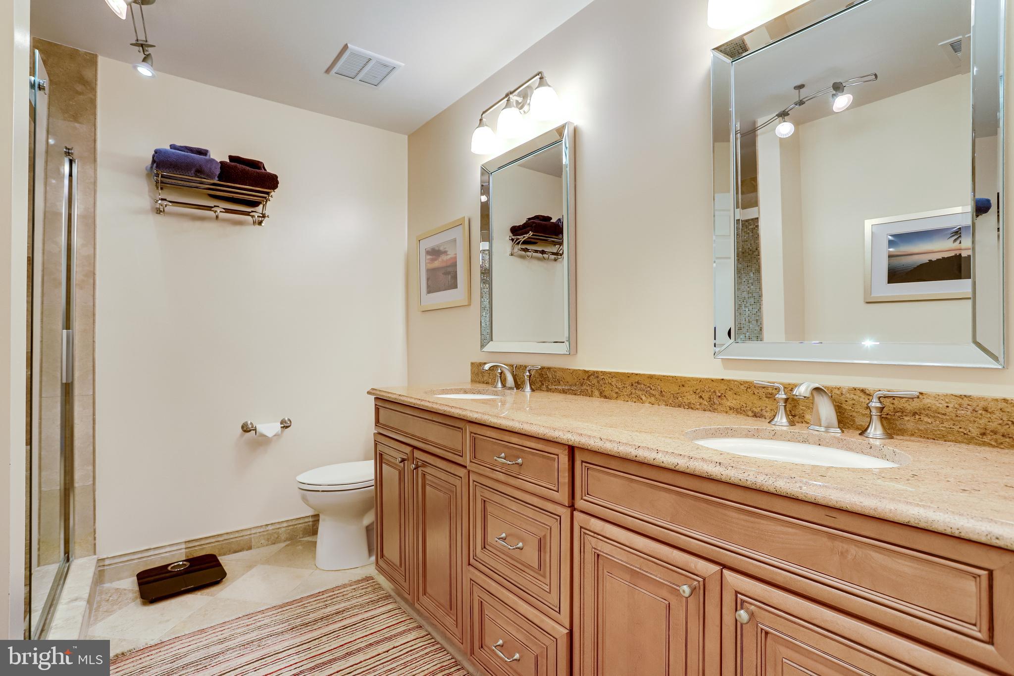 1206 Woodbrook Court Reston, VA 20194 - Photo 63 of 110 Upgraded hall bathroom on the upper level.
