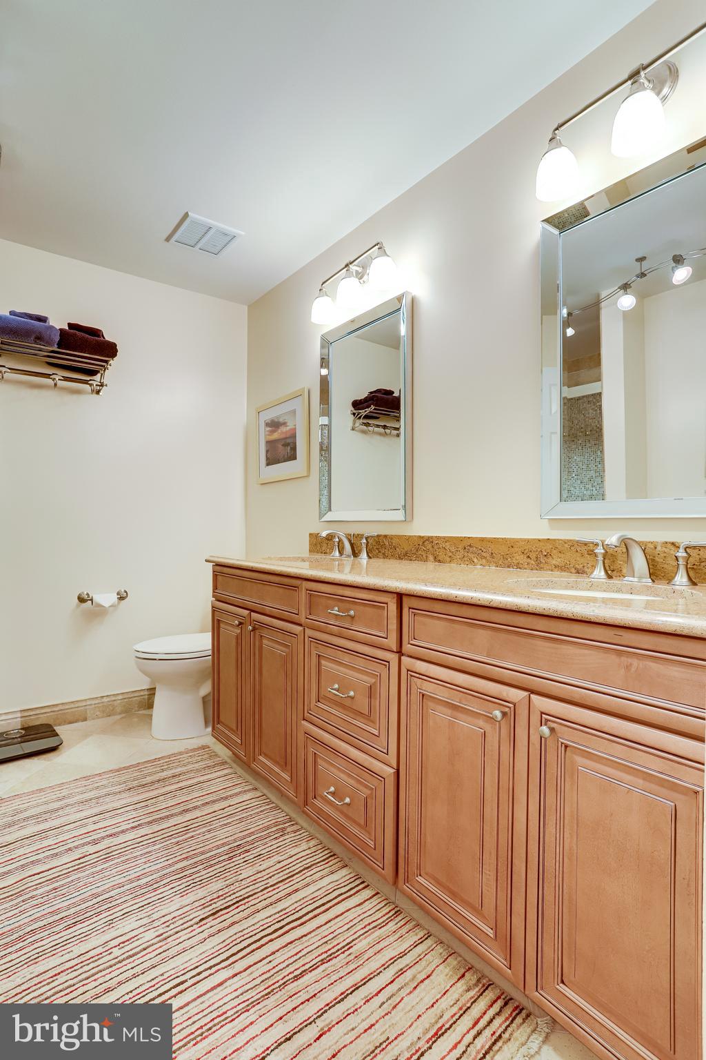 1206 Woodbrook Court Reston, VA 20194 - Photo 64 of 110 Gallery Image 64