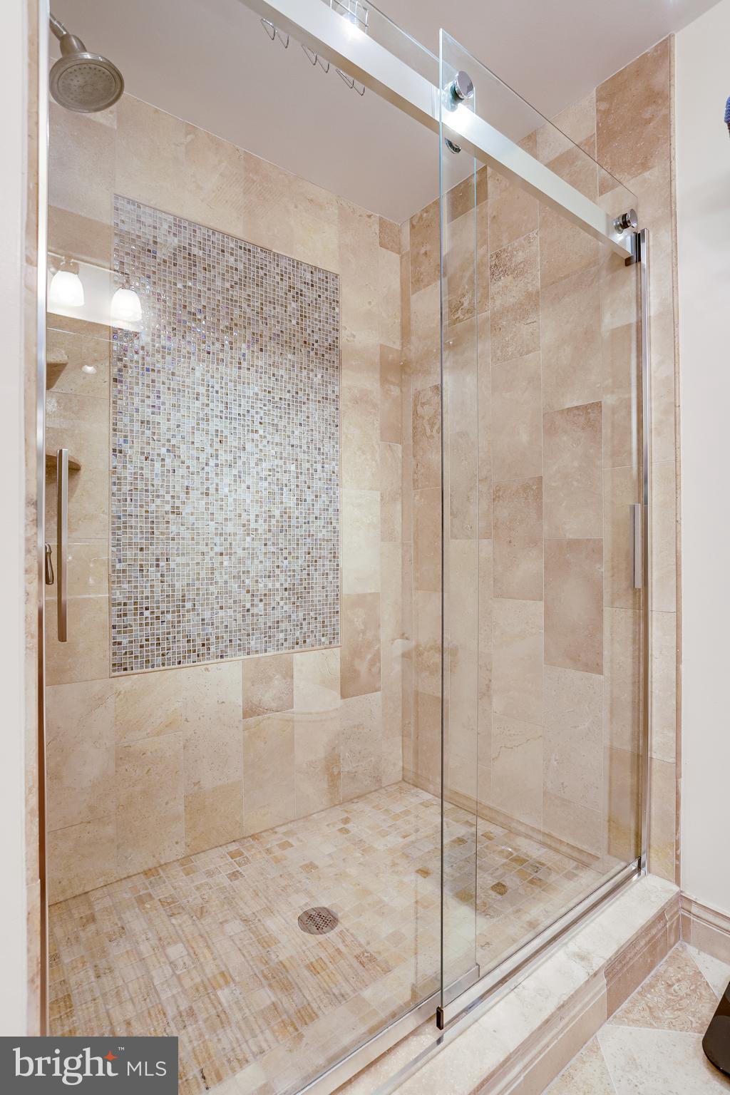 1206 Woodbrook Court Reston, VA 20194 - Photo 65 of 110 Large walk-in shower hall bathroom.