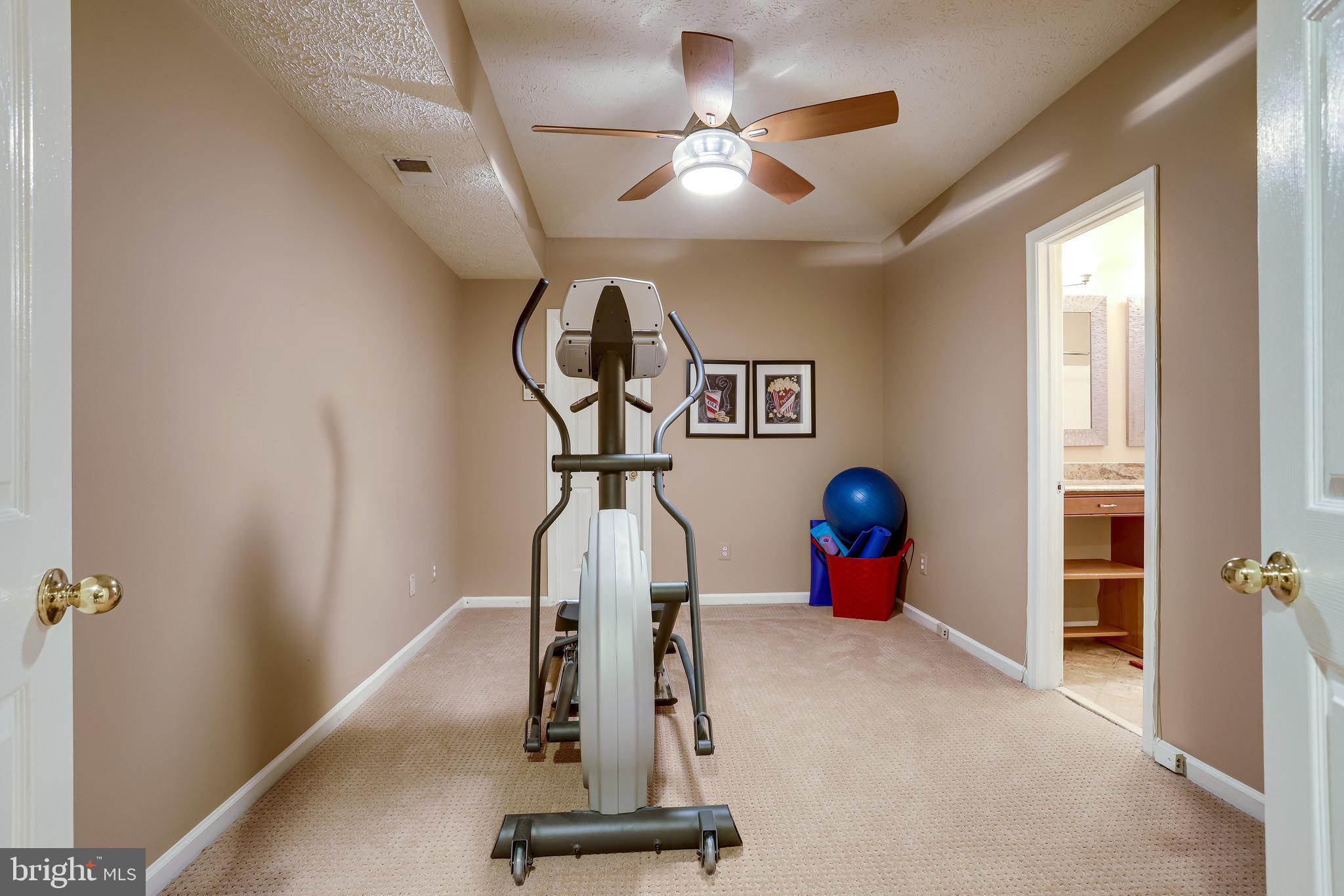 1206 Woodbrook Court Reston, VA 20194 - Photo 83 of 110 Can be used for gym, office, kid area.