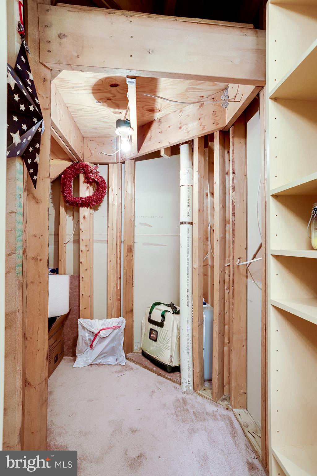 1206 Woodbrook Court Reston, VA 20194 - Photo 86 of 110 Large unfinished storage area.