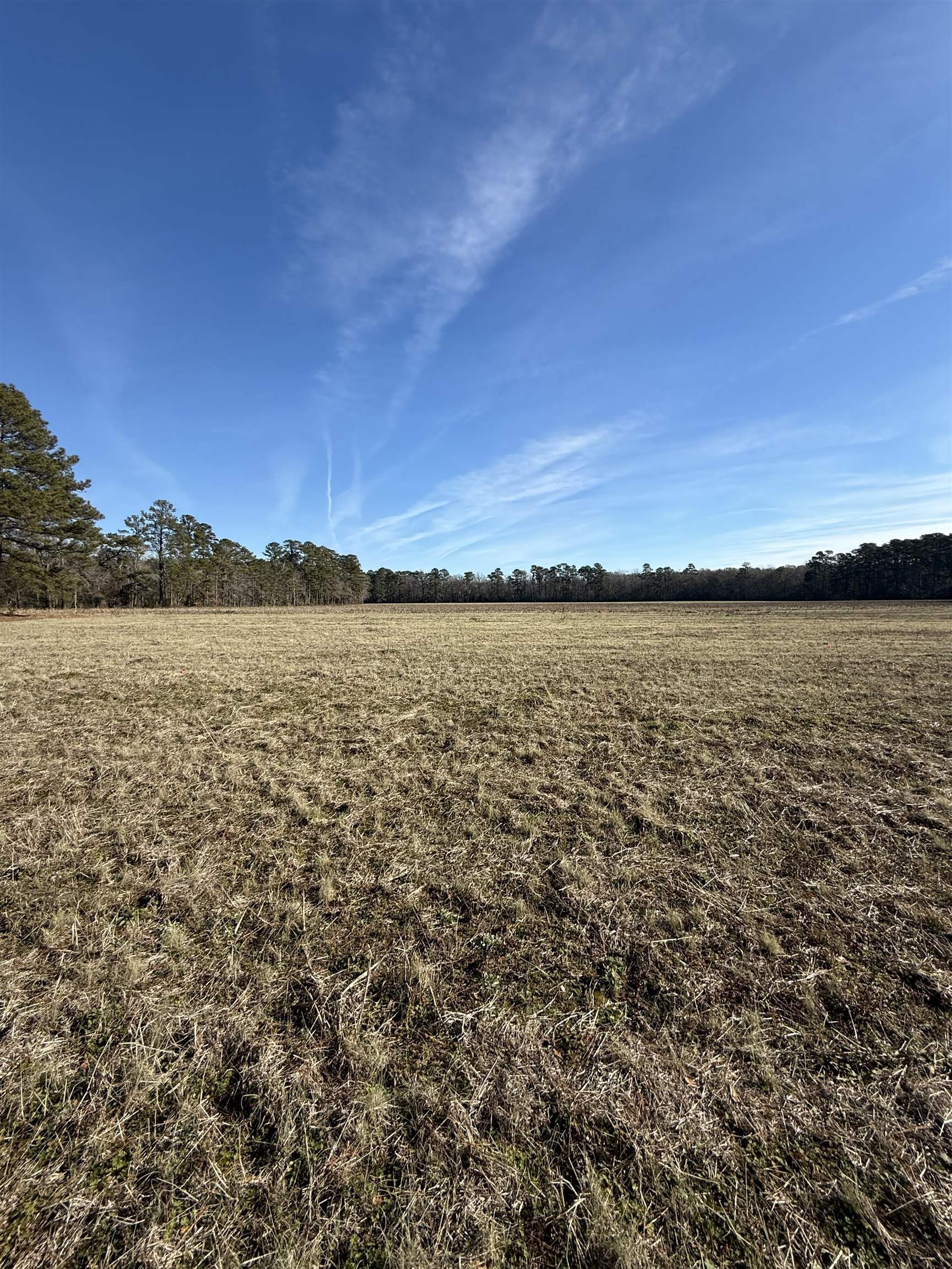 Lot 4 Johnson Shelly Road Conway, SC 29526 - Photo 7 of 10