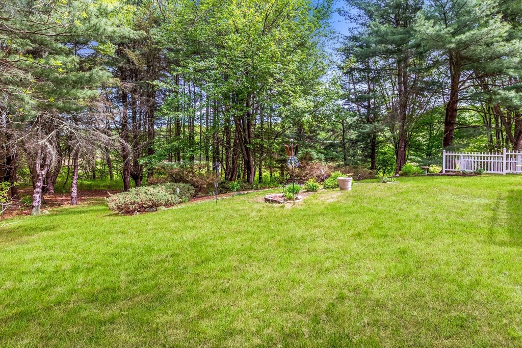 15 Conestoga Road Lexington, MA 02421 - Photo 28 of 31 a view of a park with large trees