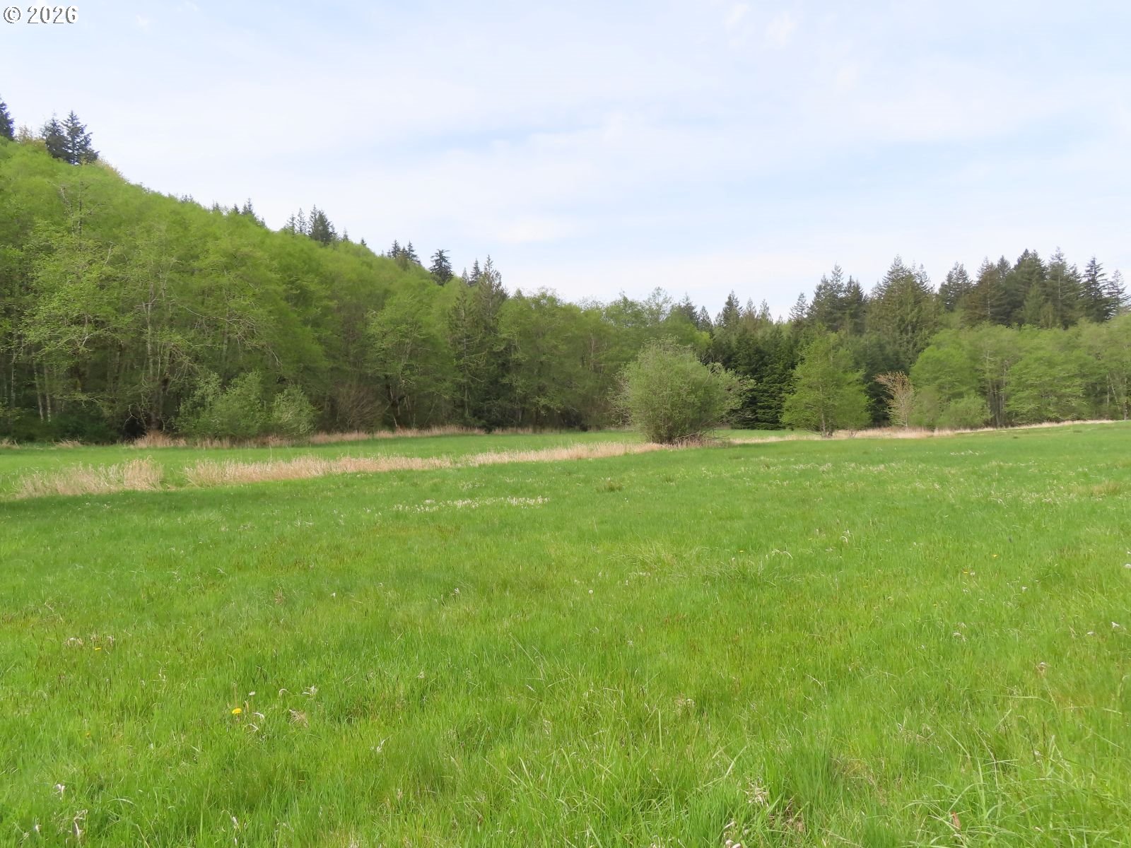 Hagen Road Mossyrock, WA 98564 - Photo 24 of 29