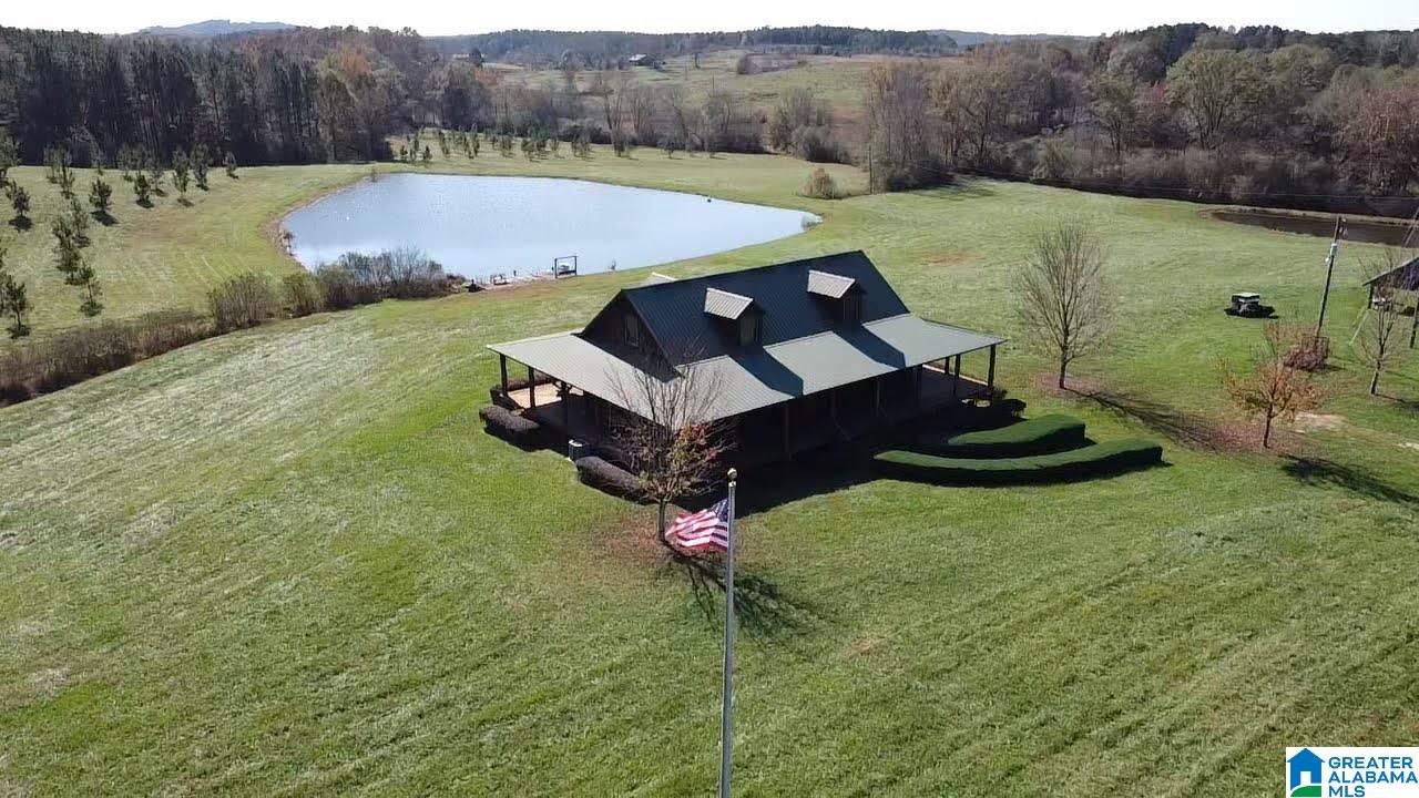 334 Isbell Road Delta, AL 36258 - Photo 2 of 37