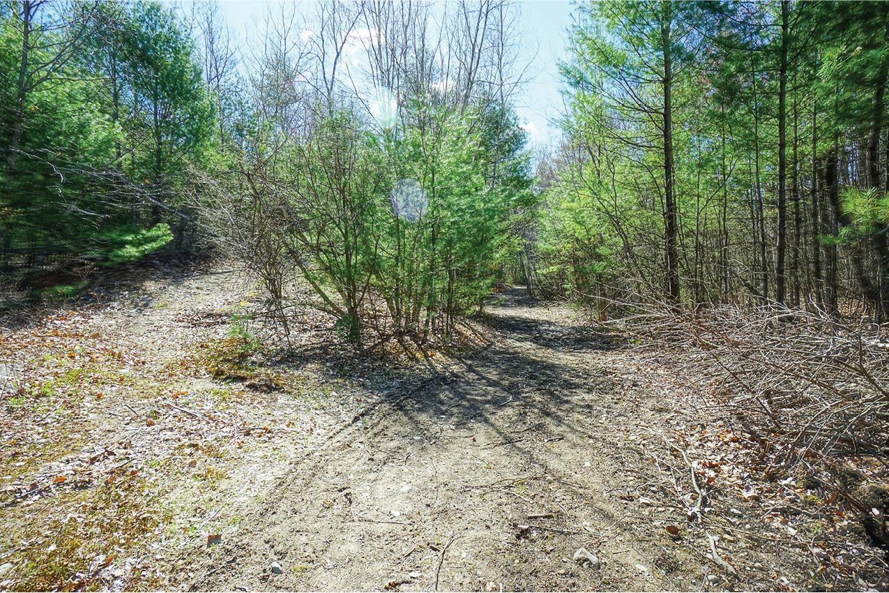 4 Gill Road Derry, NH 03038 - Photo 13 of 23