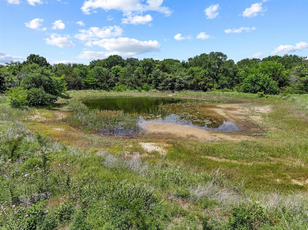 747 Vineyard Road Gunter, TX 75058 - Photo 19 of 32 a view of lake with green space