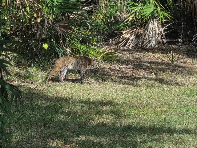 $26,000 | 2212 Wakefield Street, Port Charlotte, FL 33948