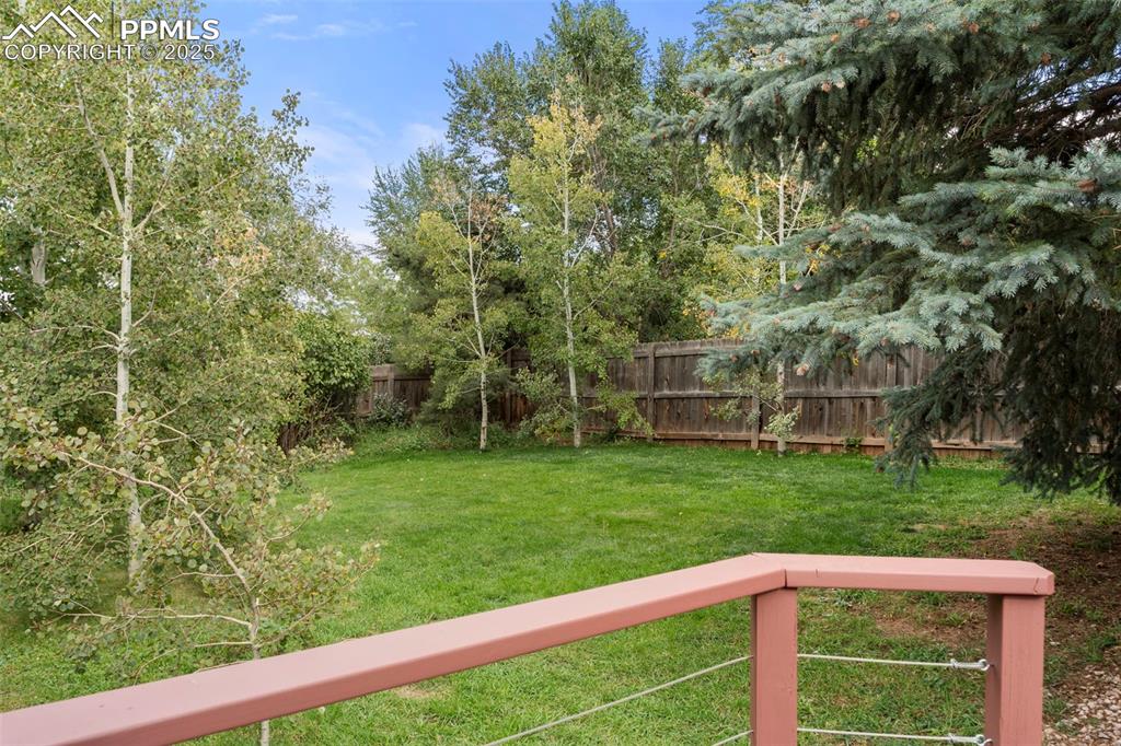 327 Clarksley Road Manitou Springs, CO 80829 - Photo 23 of 26 a view of a yard with large trees