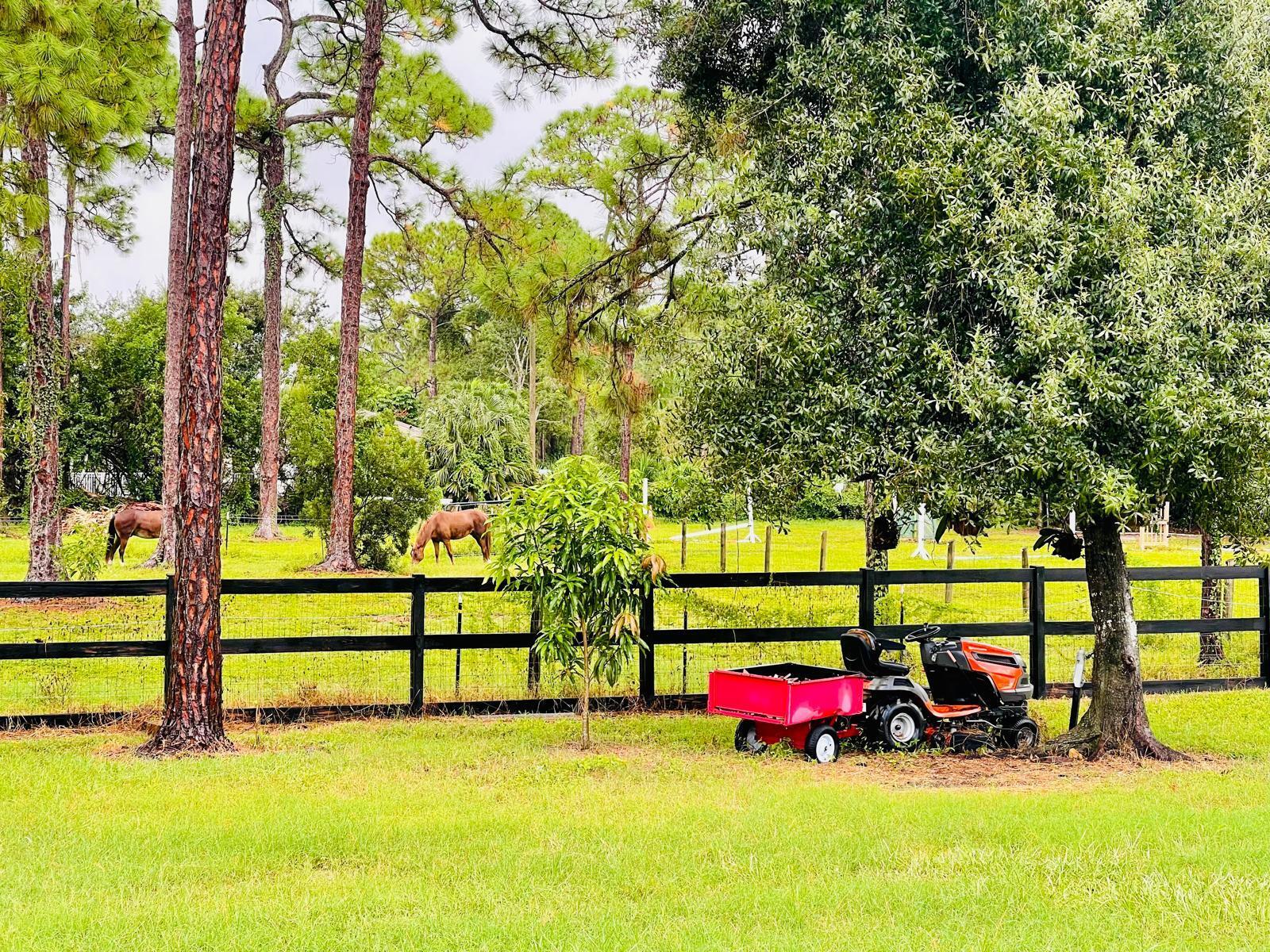 17225 78th Road North Loxahatchee, FL 33470 - Photo 36 of 93 a view of swimming pool with a bench and trees