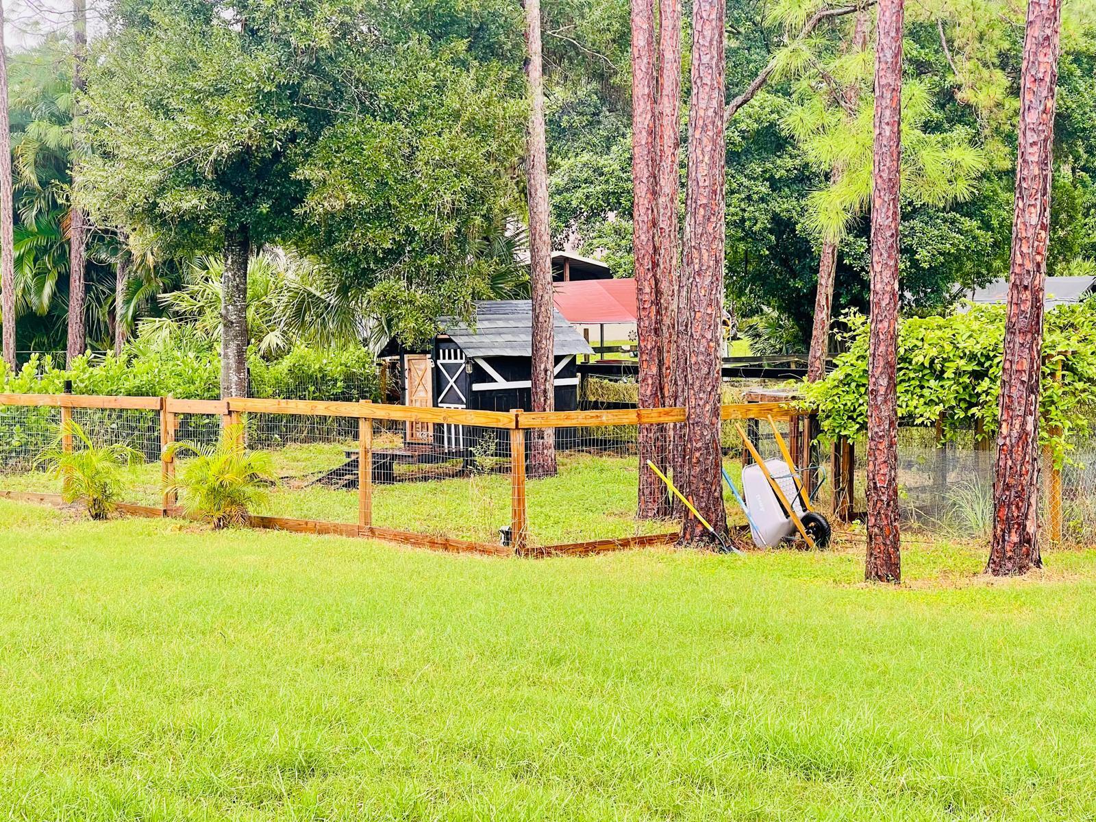 17225 78th Road North Loxahatchee, FL 33470 - Photo 83 of 93 a view of a swimming pool with a yard and lawn chairs
