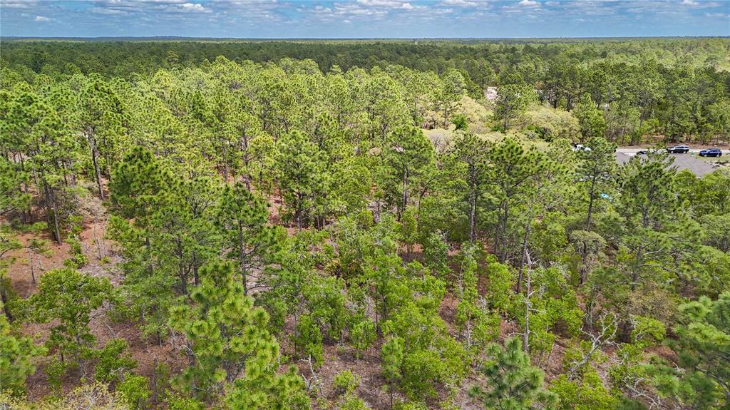 Tbd Southwest 137th Ct Road Dunnellon, FL 34432 - Photo 11 of 19