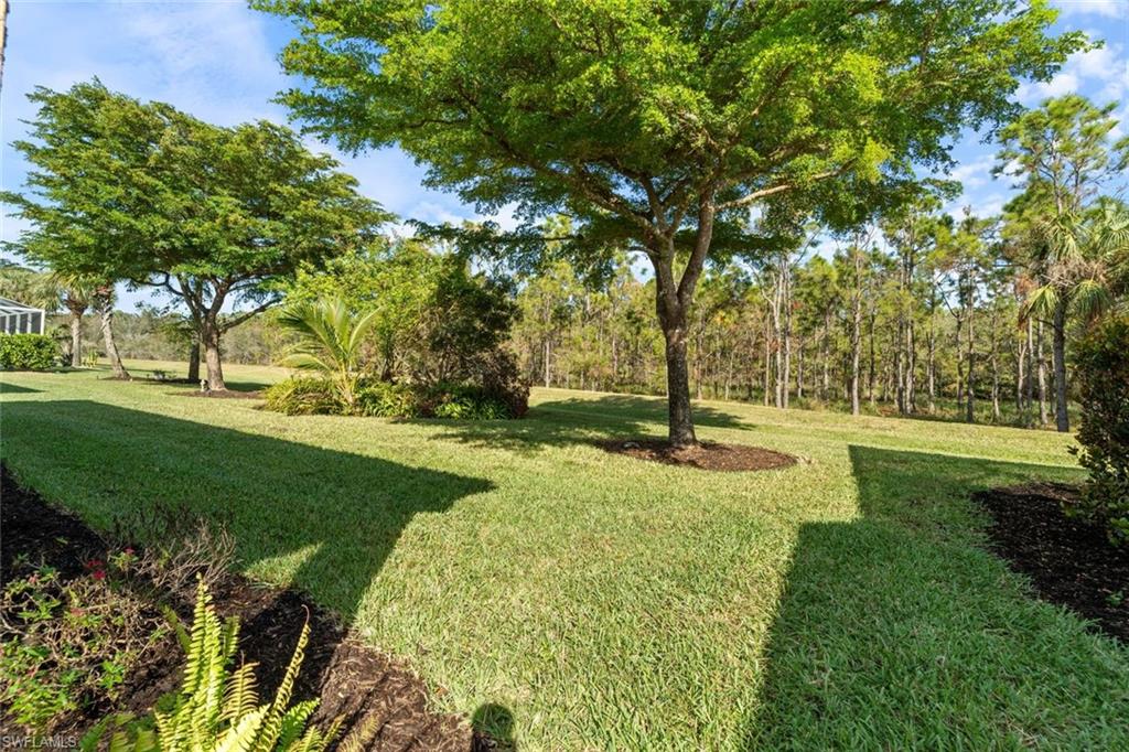 14439 Manchester Drive Naples, FL 34114 - Photo 16 of 47 a view of yard with tree