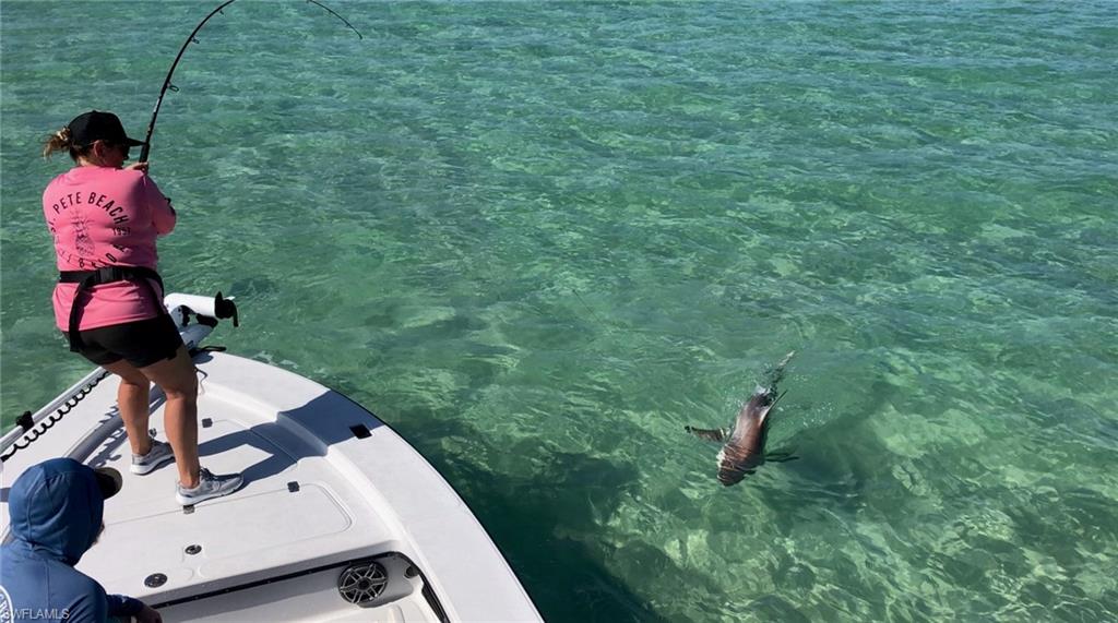 14439 Manchester Drive Naples, FL 34114 - Photo 42 of 47 a view of entryway with garden