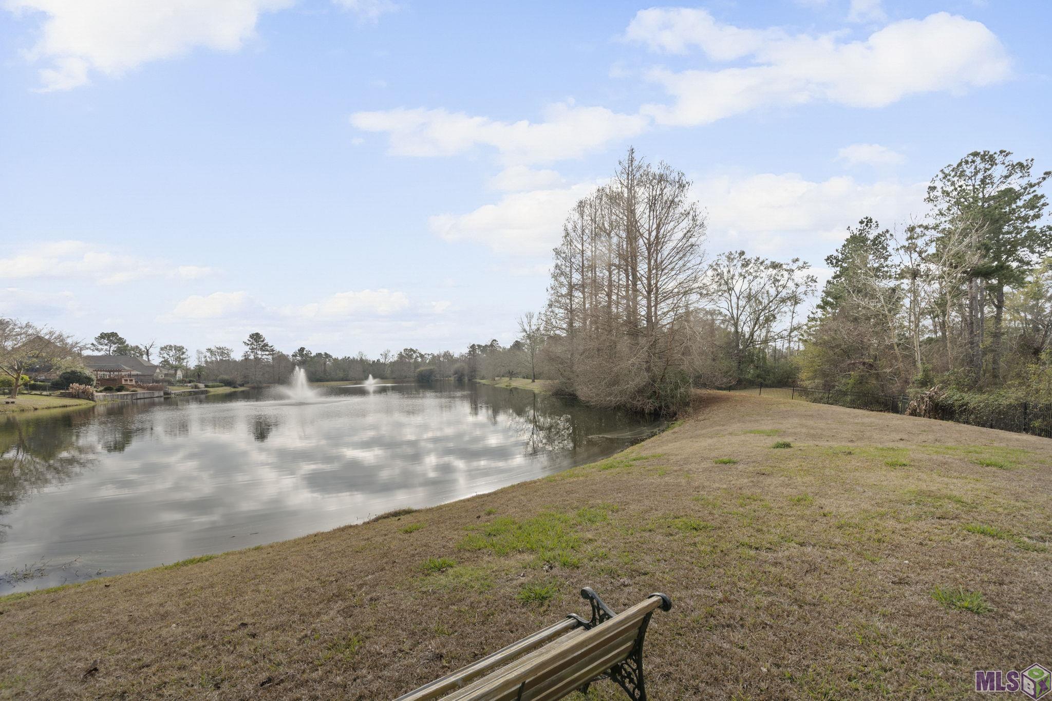 3234 Silver Sand Drive Baton Rouge, LA 70816 - Photo 35 of 59