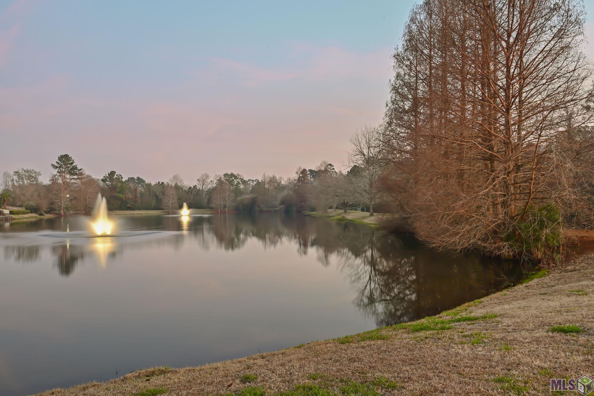 3234 Silver Sand Drive Baton Rouge, LA 70816 - Photo 52 of 59
