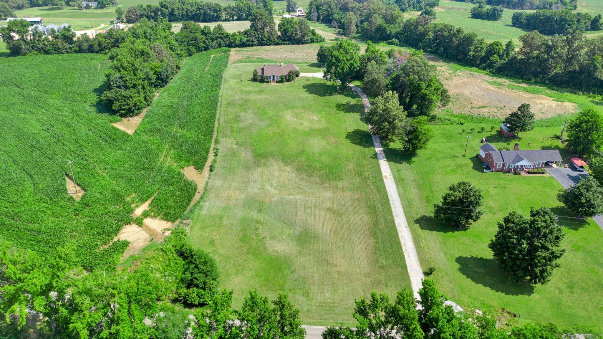 914 Beaver Creek Road Brighton, TN 38011 - Photo 35 of 39 a lush green forest with lots of trees
