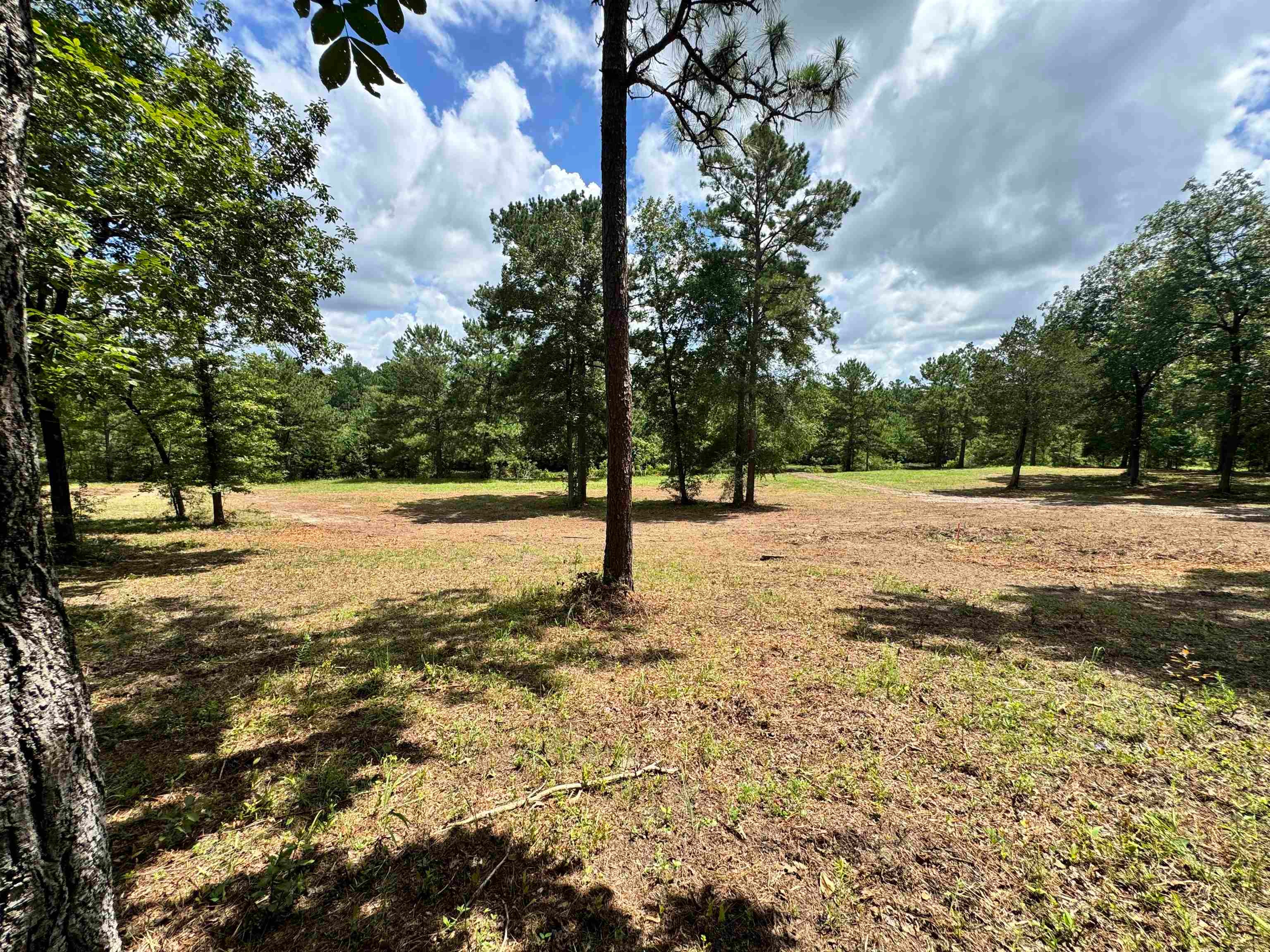 12161 Ridgeview Loop Andalusia, AL 36421 - Photo 2 of 22 Gallery Image 2
