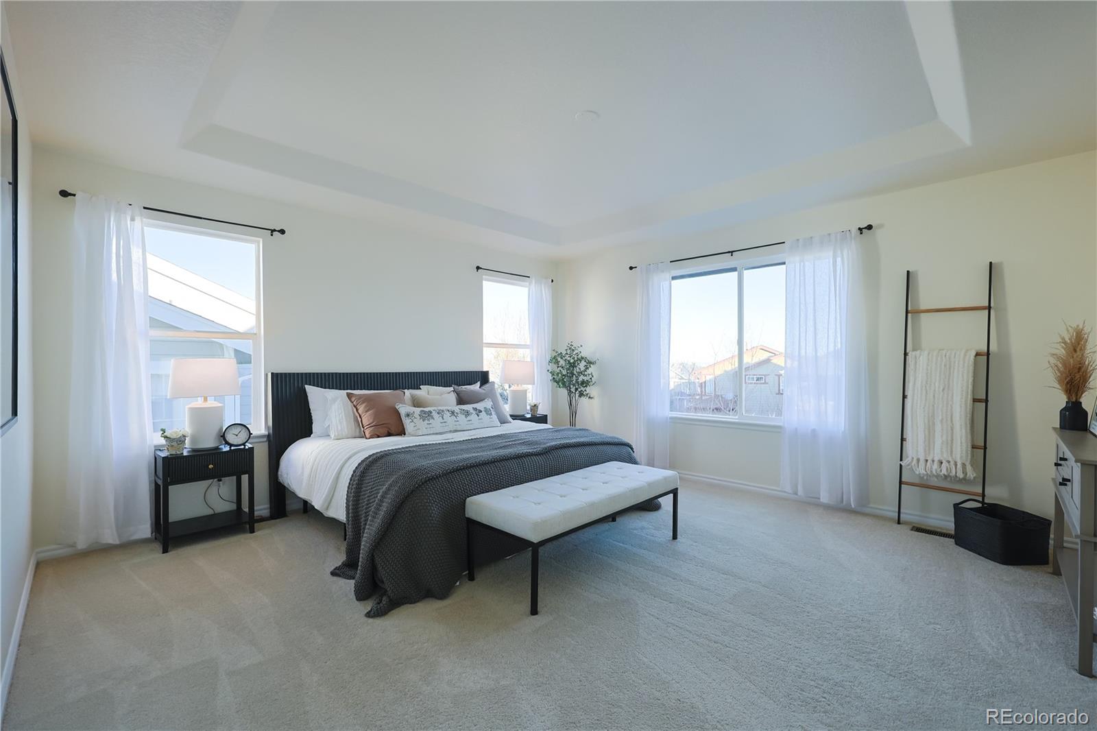 10715 Riverbrook Circle Highlands Ranch, CO 80126 - Photo 14 of 40